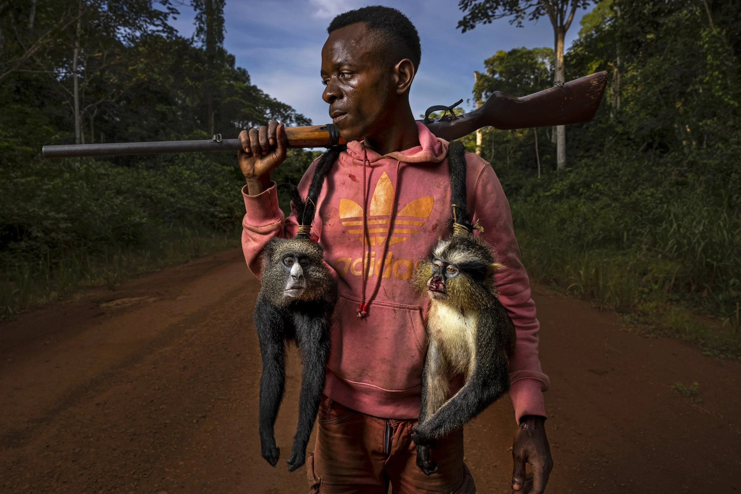 KABO, REPUBLIC OF CONGO, 23 MAY 2021: Jonas Manguba is seen with two of three monkeys he shot on this day. Jonas has hunted since he was a child with his father, he says he shoots at least five monkeys on most of his hunts. Apart from the controlle