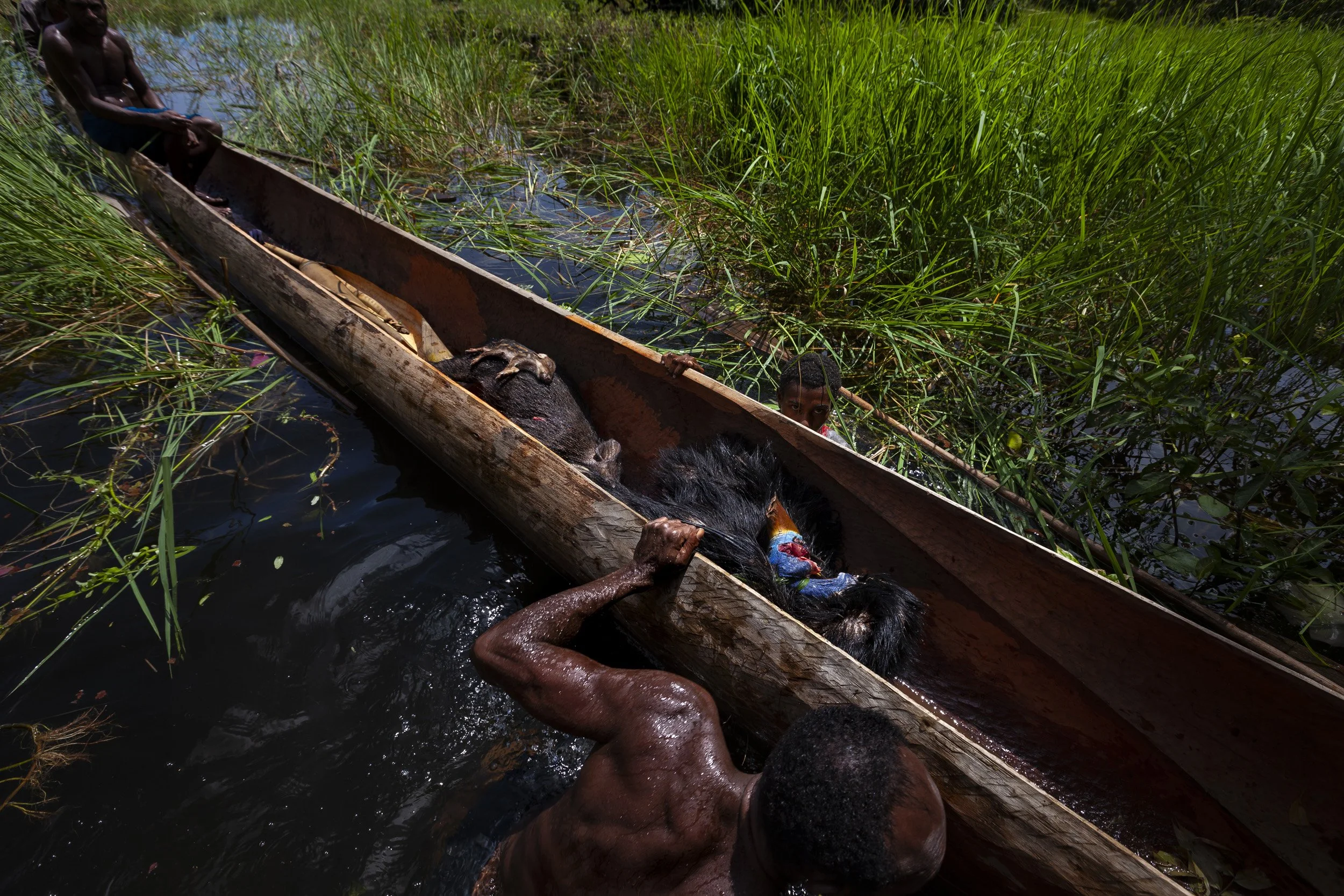 bushmeat_051.jpg