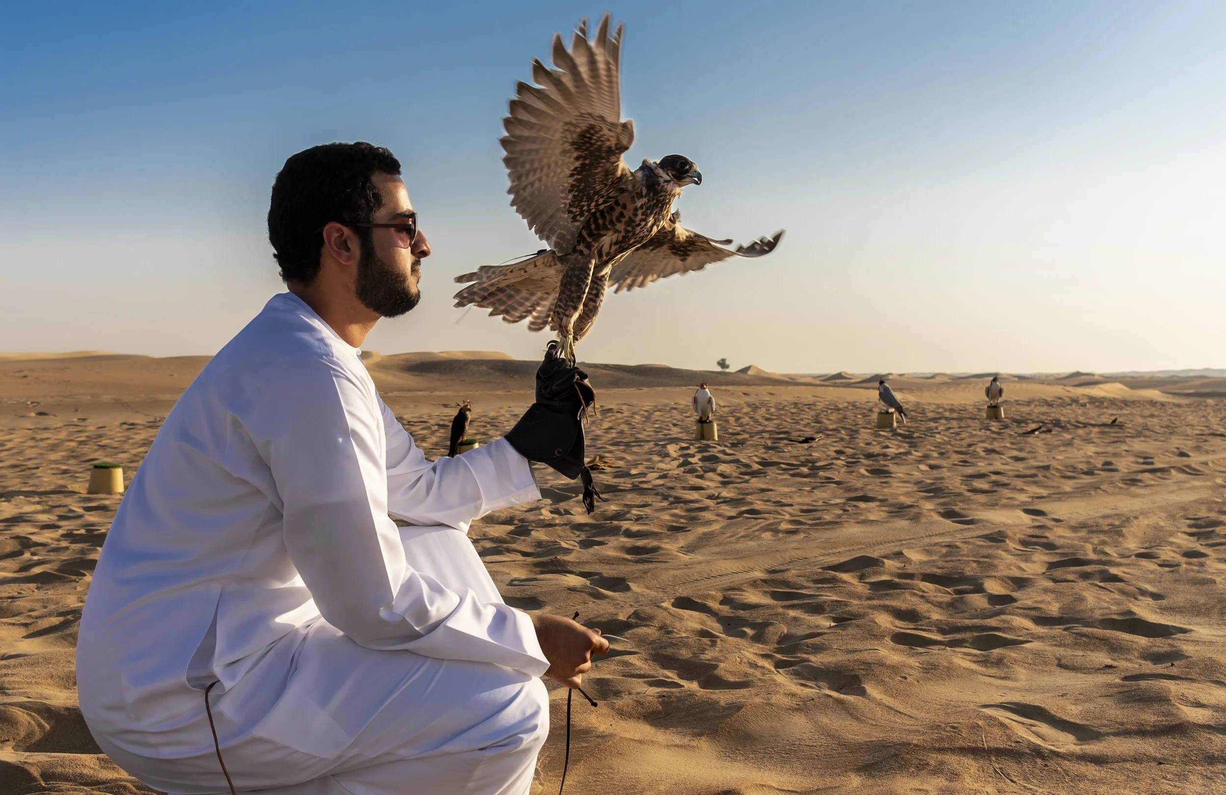 DUBAI, UAE, OCTOBER 12 2018: Maktoum Maktoum, the son of Sheikh Butti Maktoum Bin Juma, a senior member of the Dubai Royal family, is seen while he trains his falcons in the desert outside Dubai. Sheikh Butti Maktoum Bin Juma begins before dawn dur