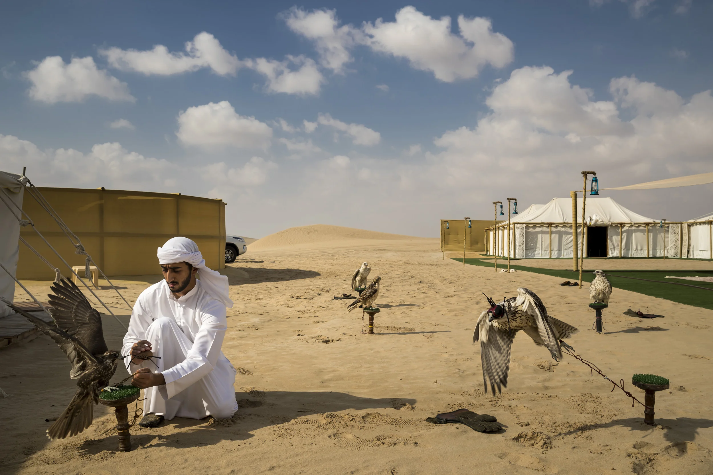 ABU DHABI, UAE, 2 DECEMBER 2017: A falcon hunting camp in the desert outside Abu Dhabi, UAE. This camp uses captive bred Houbara Bustards, the preferred prey species of Arab Falconers across the region. Rashid and Maktoum Al Maktoum, two young sheik