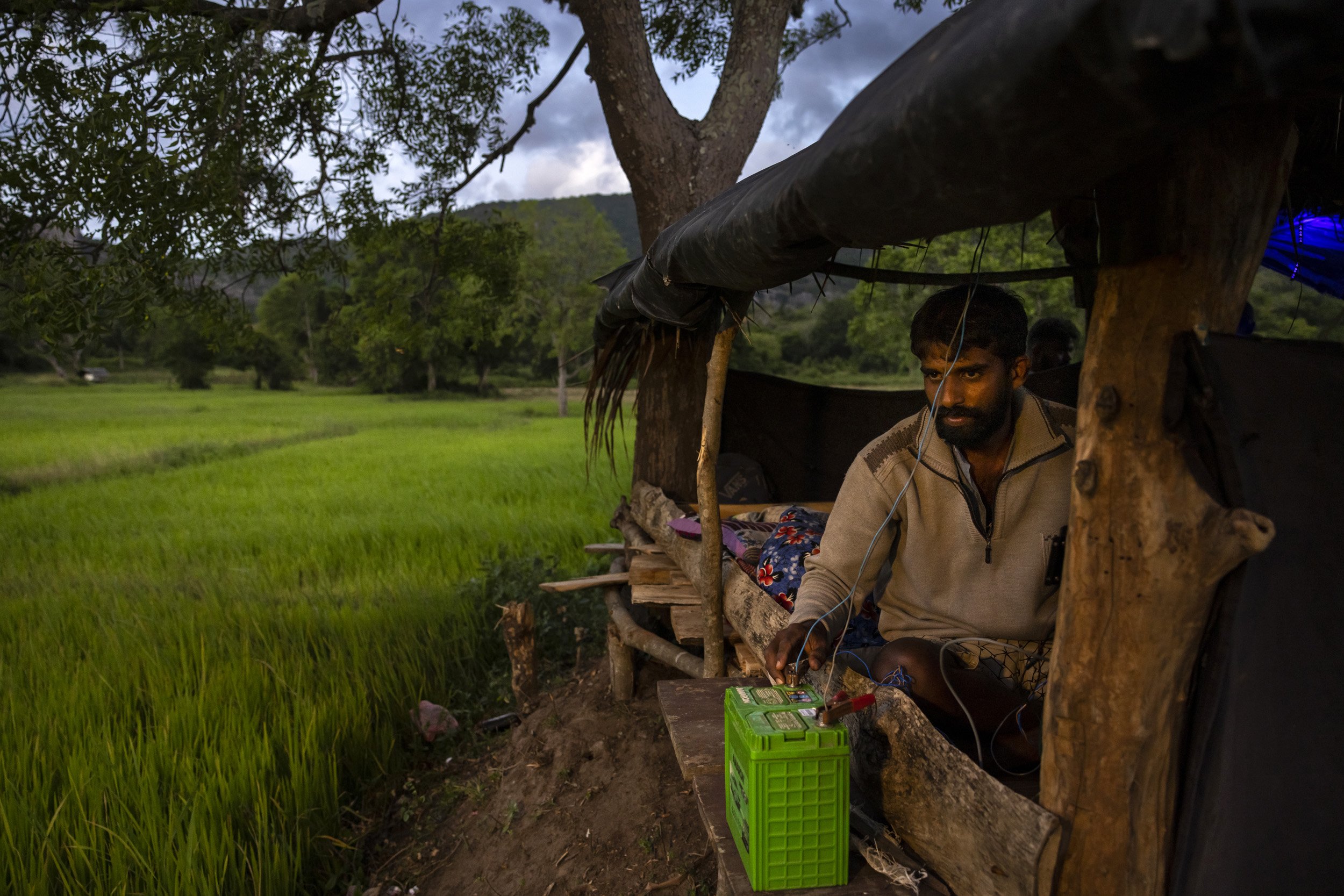 GALGAMUWA, SRI LANKA, 28 JUNE, 2022: Village men prepare to spend the night on elephant watch in their rice paddies close to the border region of the Kahalla Pallawa nature reserve. This area has many elephant and the border region runs up against c