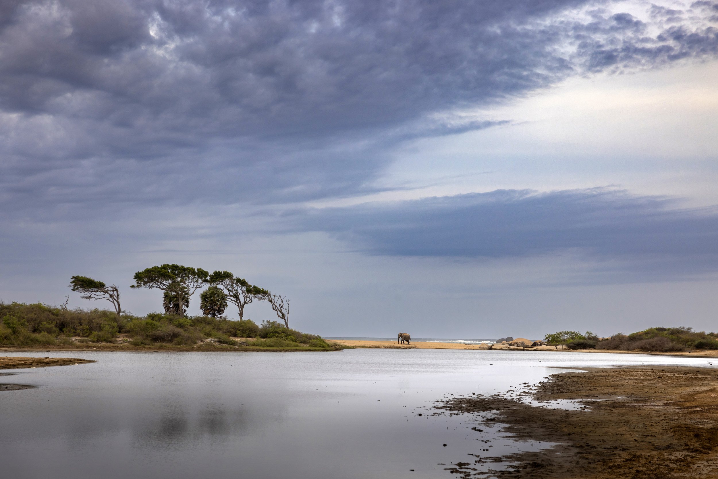 YALA NATIONAL PARK, SRI LANKA, 17 JULY 2022: An older male elephant walks on the beach inside Yala National Park. Apparently this male walks on the beach regularly, often in the moonlight. (Photo by Brent Stirton/Getty Images for National Geographic