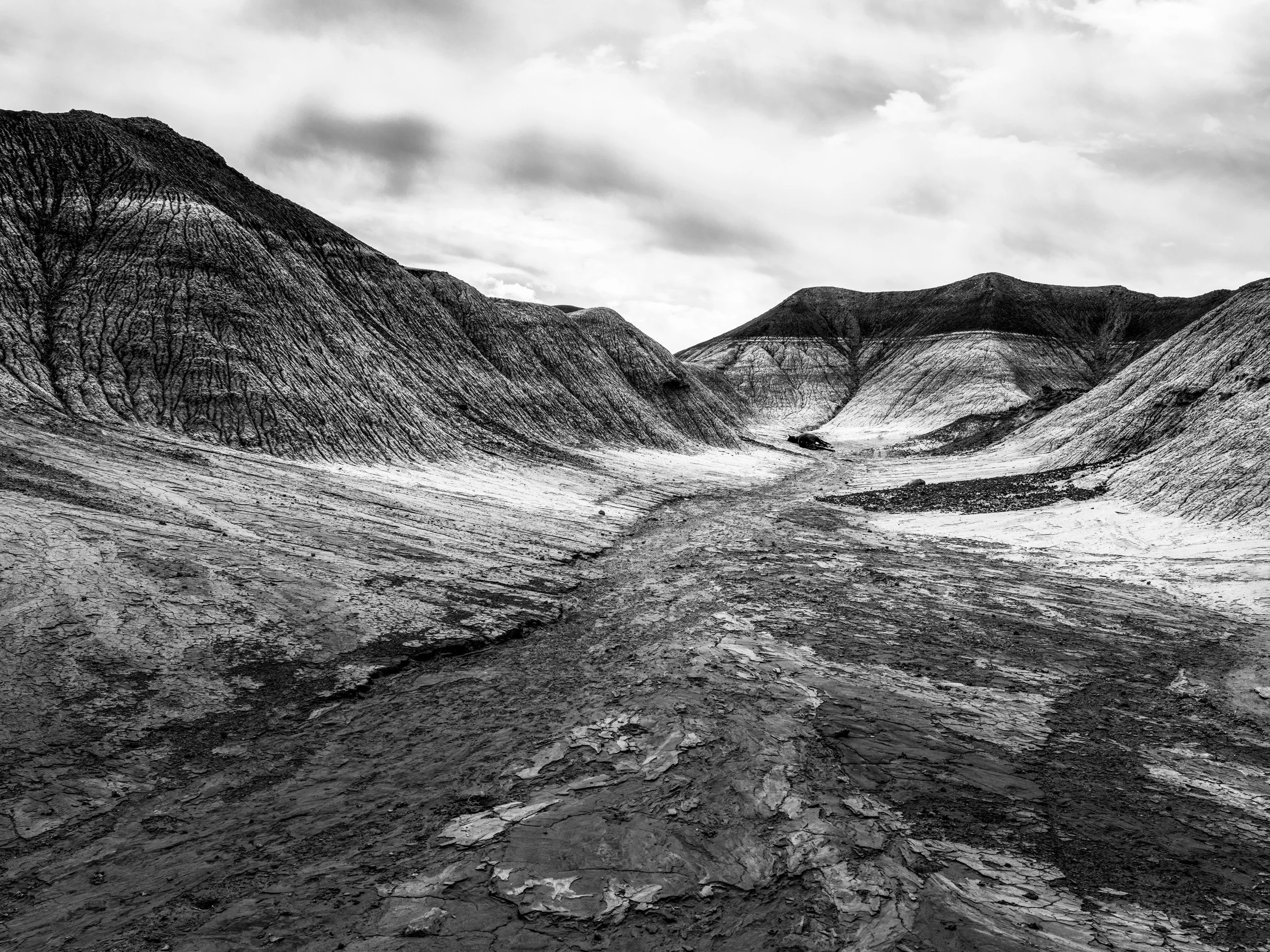 CAMERON, ARIZONA: A dead wild horse lies mysteriously at the end of a small canyon in the badlands of Cameron, Arizona. This is an area of extensive uranium mining, these mines have poisoned water sources in many parts of the reservation and the Nav