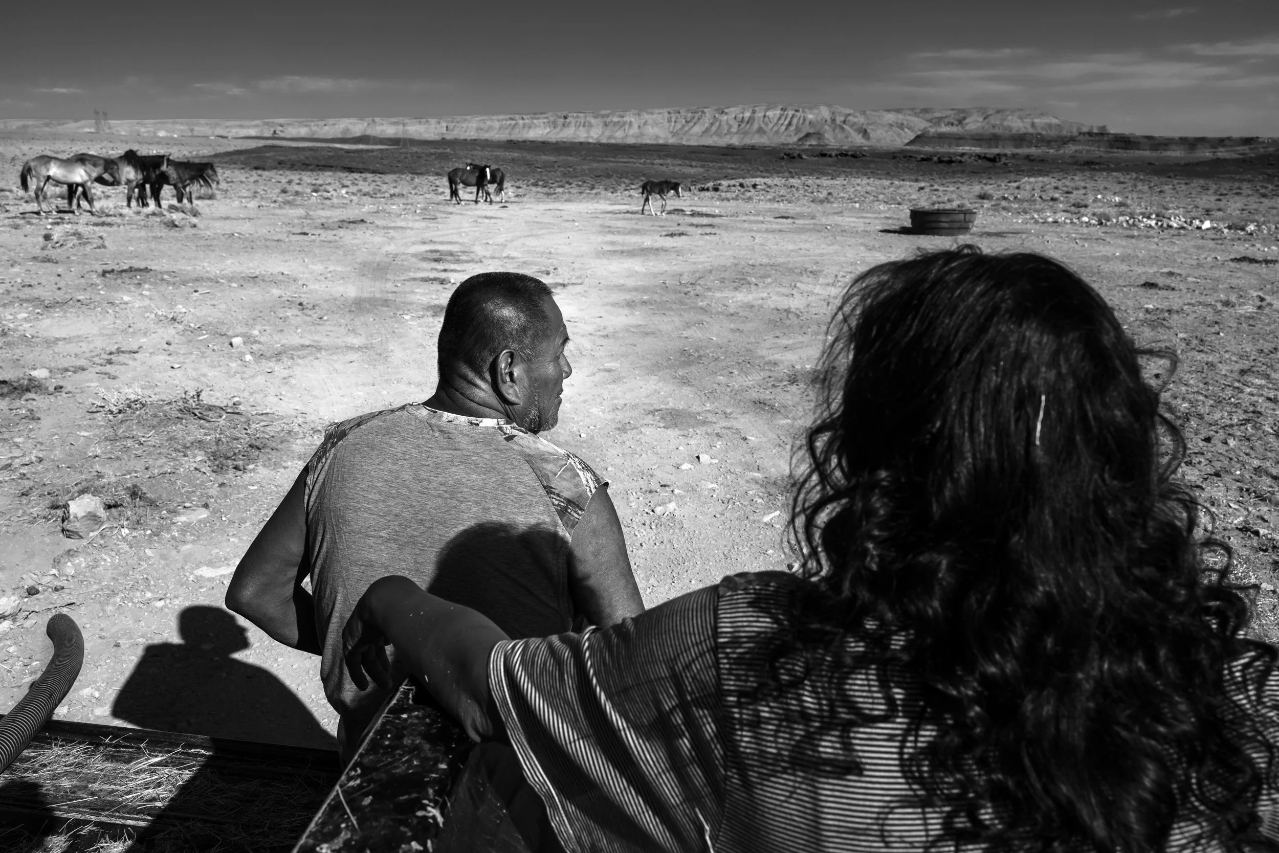 GRAY MOUNTAIN, ARIZONA: Gray Mountain Horse Rescue is a Navajo organization that attempts to safeguard wild horses and provide them with adequate drinking water which they truck out to areas where there is little water access.