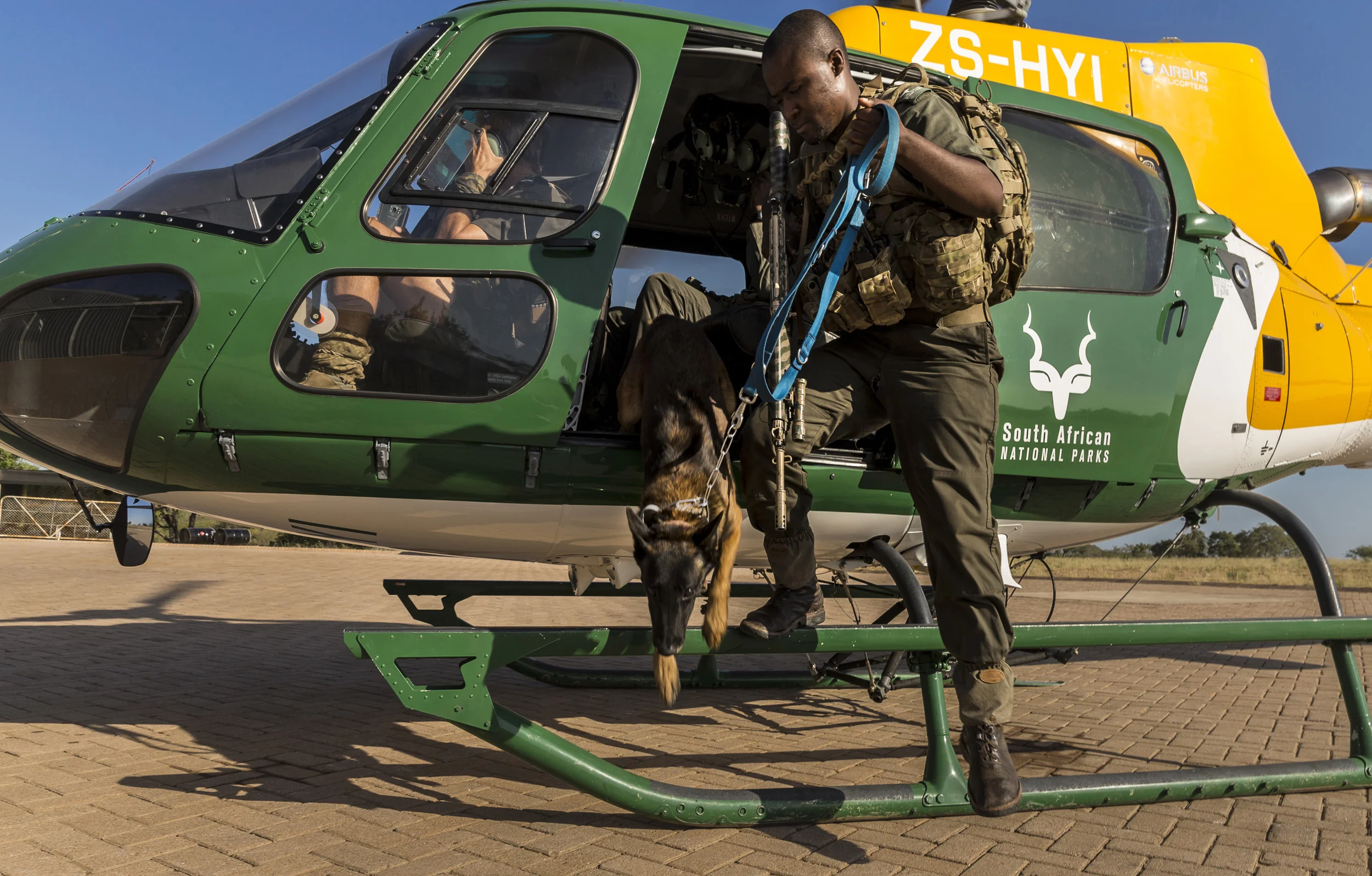 KRUGER NATIONAL PARK, SOUTH AFRICA, 25 APRIL 2016: Member of Kruger National Park's anti-poaching K9 unit enter a helicopter on their way to track 3 rhino poachers. The mission was successful and the suspects were apprehended before they could shoot
