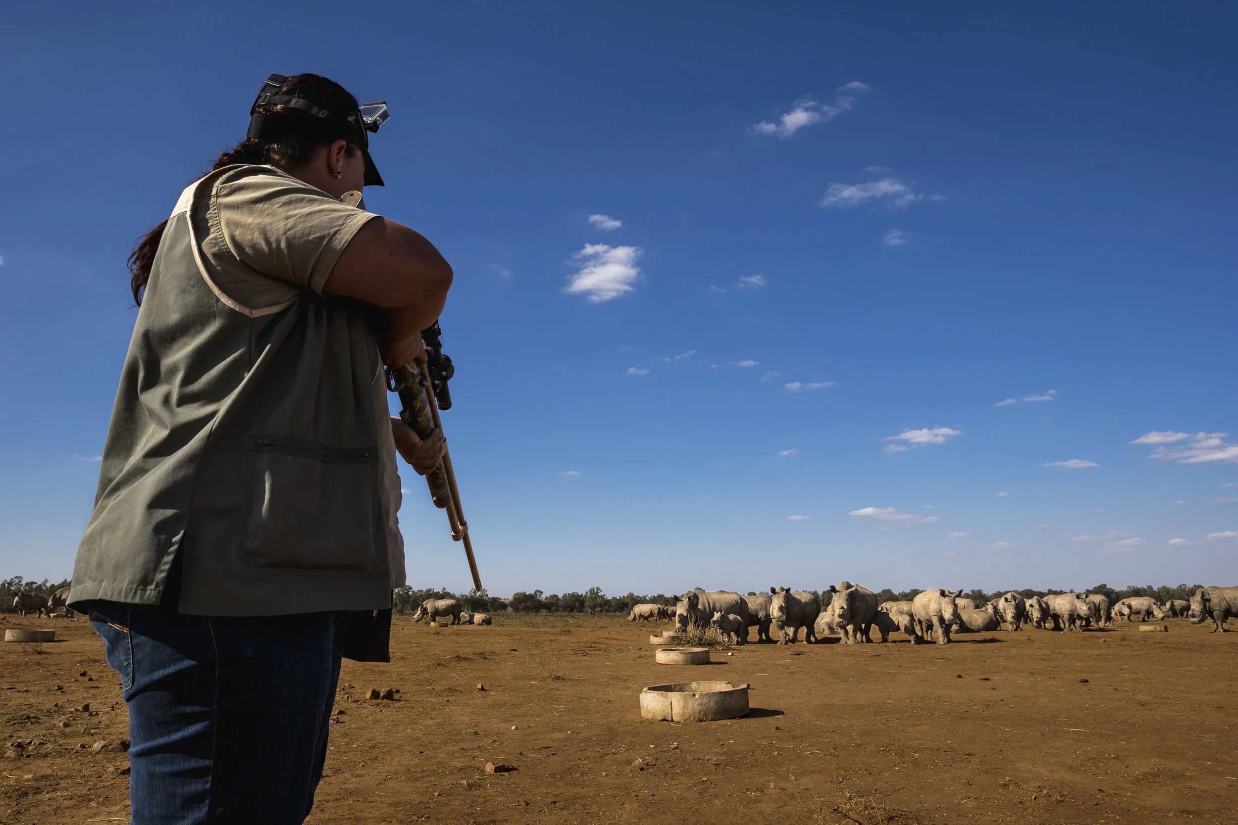 BUFFALO DREAM RANCH, KLERKSDORP, SOUTH AFRICA, 24 MAY 2016: Dr Michelle Otto, resident Vet for John Hume, the world’s largest Rhino Breeder, prepares to dart and transport a malnourished, dehydrated rhino calf who has been rejected by the mother. Jo