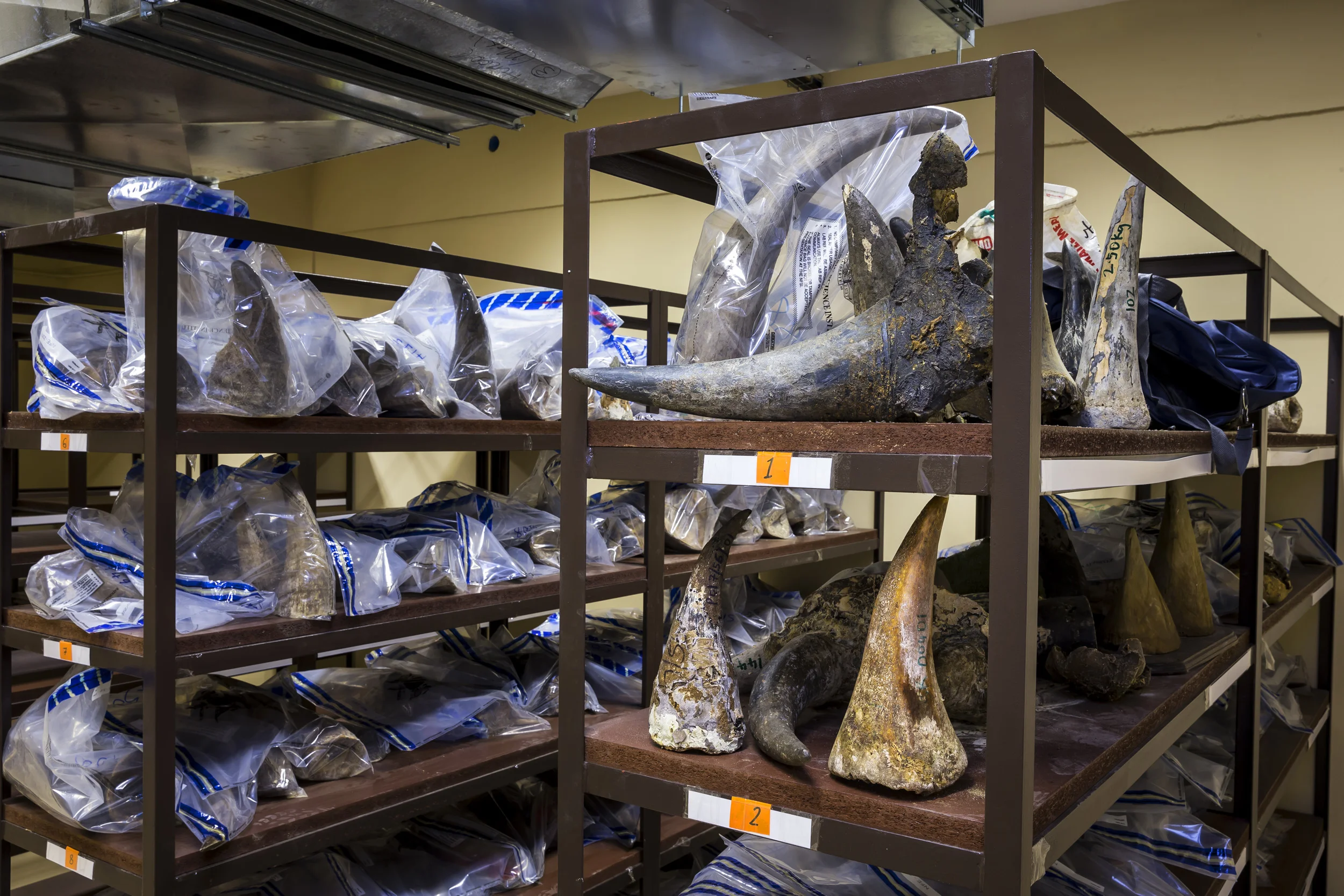 WINDHOEK, NAMIBIA, 27 MAY 2016: Images from inside the illegal Rhino Horn storage locker inside Namibia's Ministry of the Environment and Tourism. These horns have been collected from poaching incidents and were recovered from arrests, confiscations