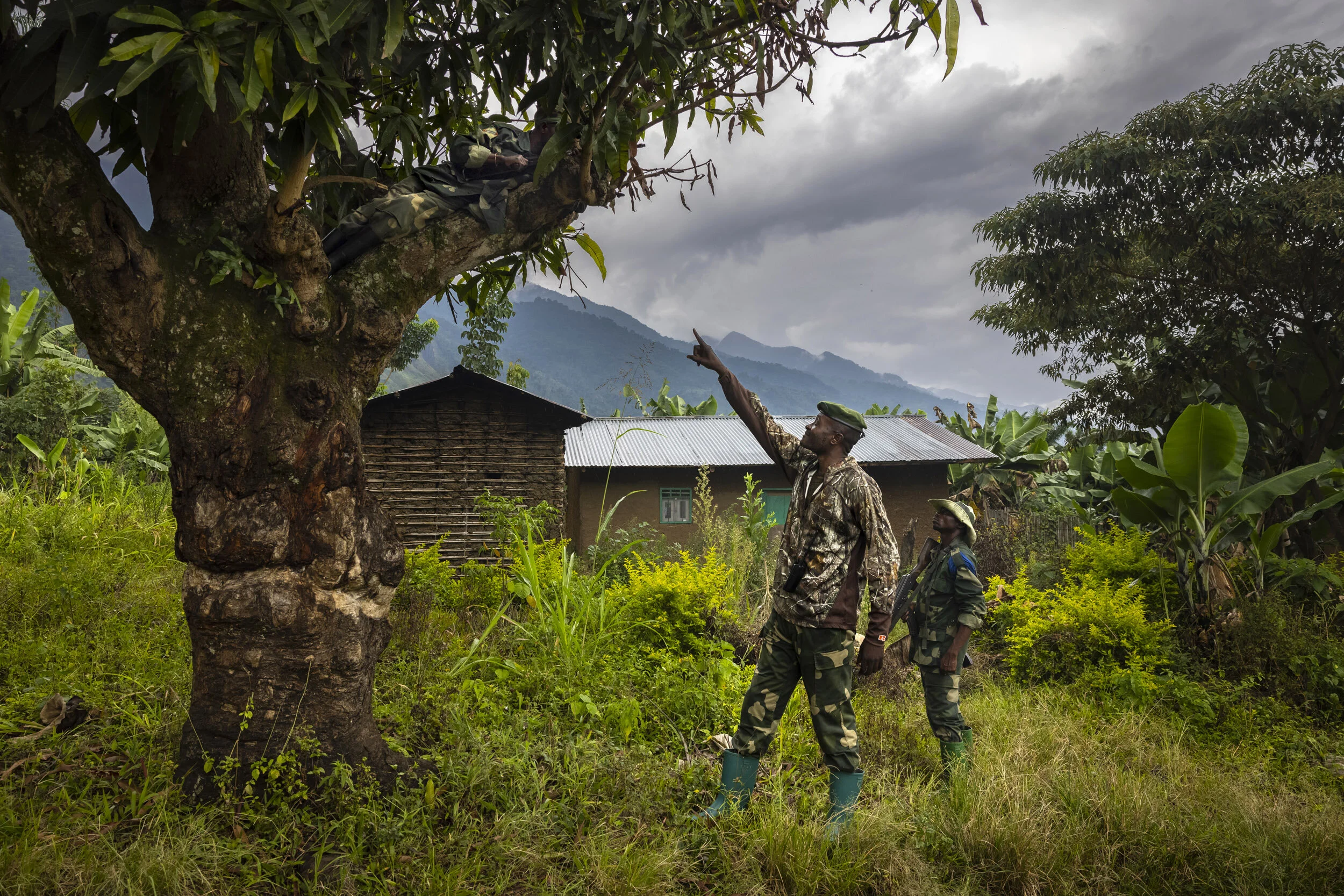 MWENDA SURROUNDS, NORTH KIVU, DEMOCRATIC REPUBLIC OF CONGO, 7 APRIL 2021: A Congolese Army major instructs one of his men in his concealed position in a tree watching over pathways ADF have used to attack the town of Mwenda. Congolese army forces no