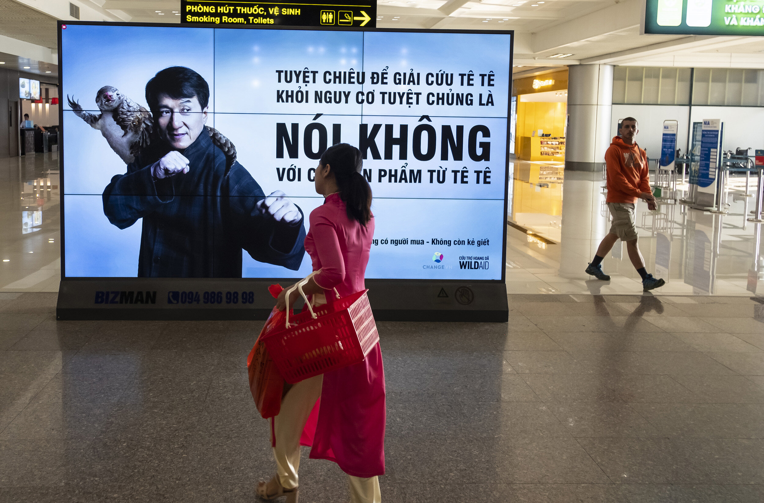 HANOI, VIETNAM, 3 NOVEMBER 2018: A public awareness campaign against the illegal consumption of Pangolins with Chinese star Jackie Chang is seen at Hanoi airport. There are two schools of thought with regards to these campaigns. Some Asian animal ri