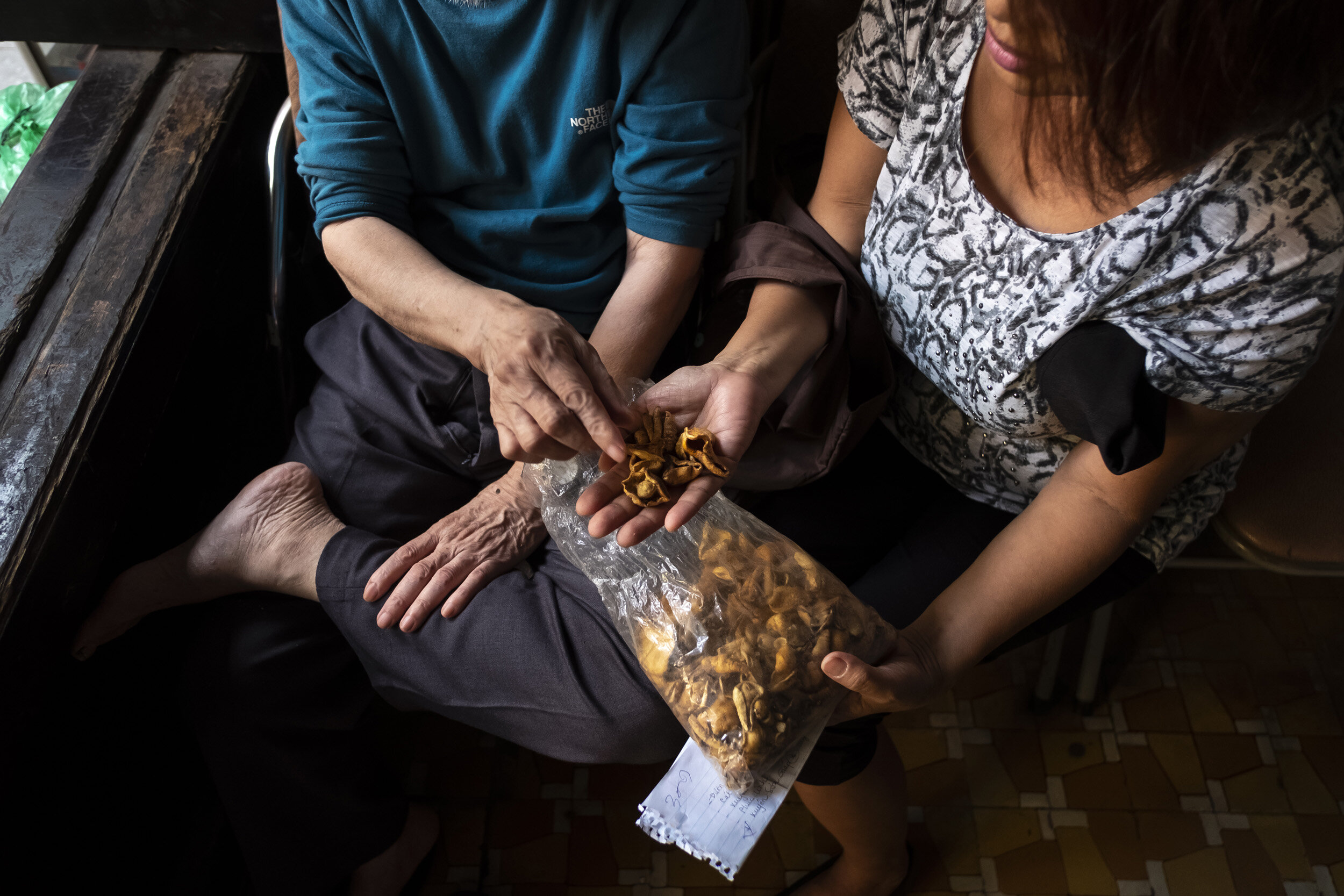 HANOI, VIETNAM, 5 NOVEMBER 2018: A Vietnamese woman consults with a traditional medicine specialist over pangolin scales. The highest percentage use for the scales in TM is for help for lactating women. Pangolins are now listed as Appendix one criti