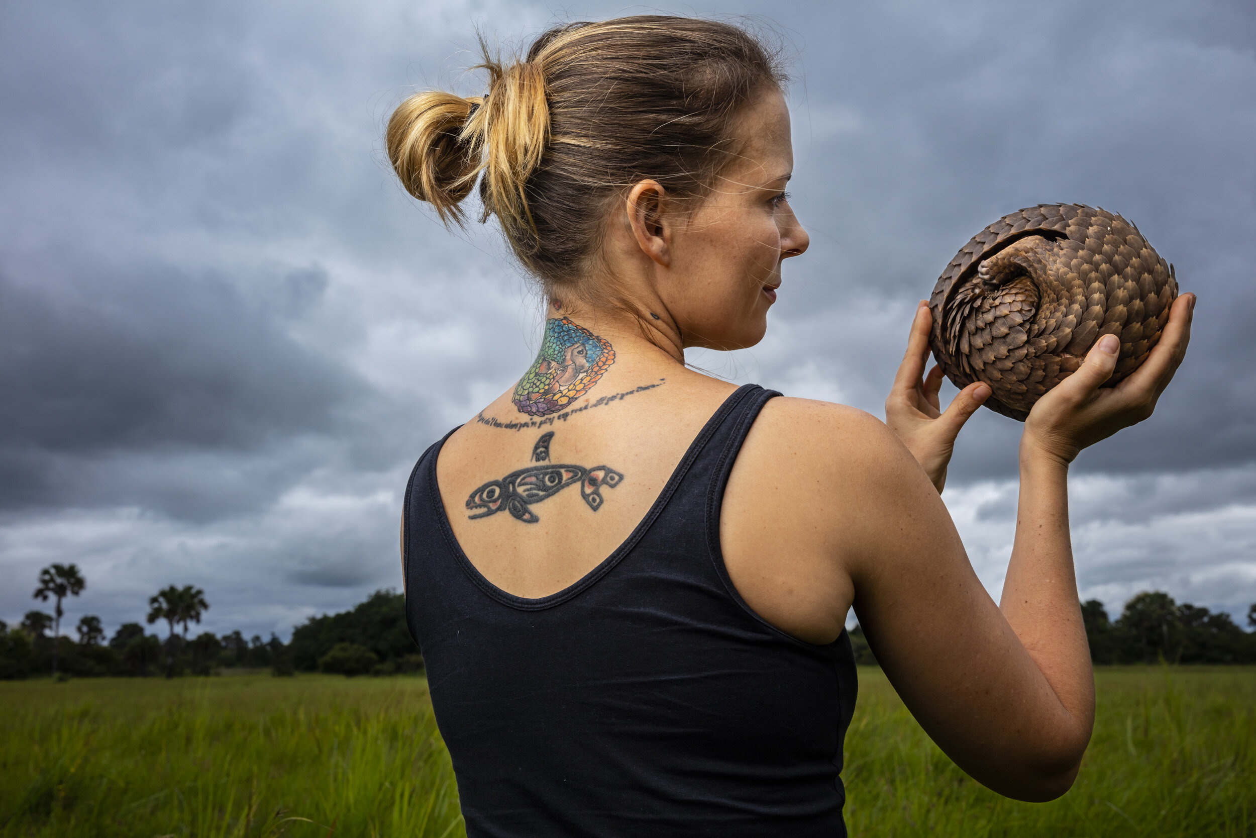 UNDISCLOSED LOCATION, CAMEROON, 14 AUGUST 2018: Angelia of the Tikki Hywood Trust releases one of three pangolins into a wild area on a farm in Cameroon. Each of these Pangolins was destined for the bushmeat market until Angelia rescued them with th
