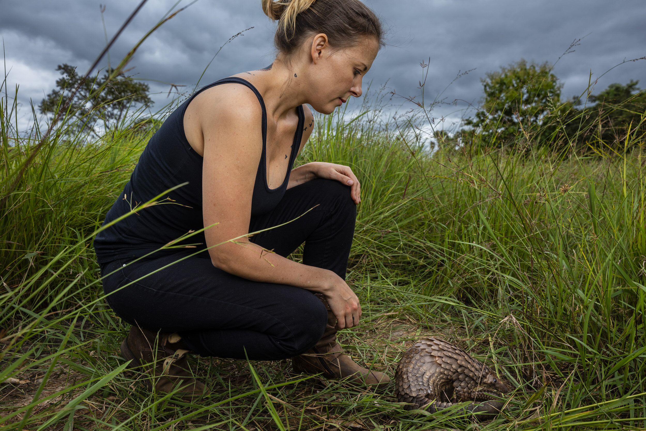 UNDISCLOSED LOCATION, CAMEROON, 14 AUGUST 2018: Angelia of the Tikki Hywood Trust releases one of three pangolins into a wild area on a farm in Cameroon. Each of these Pangolins was destined for the bushmeat market until Angelia rescued them with th