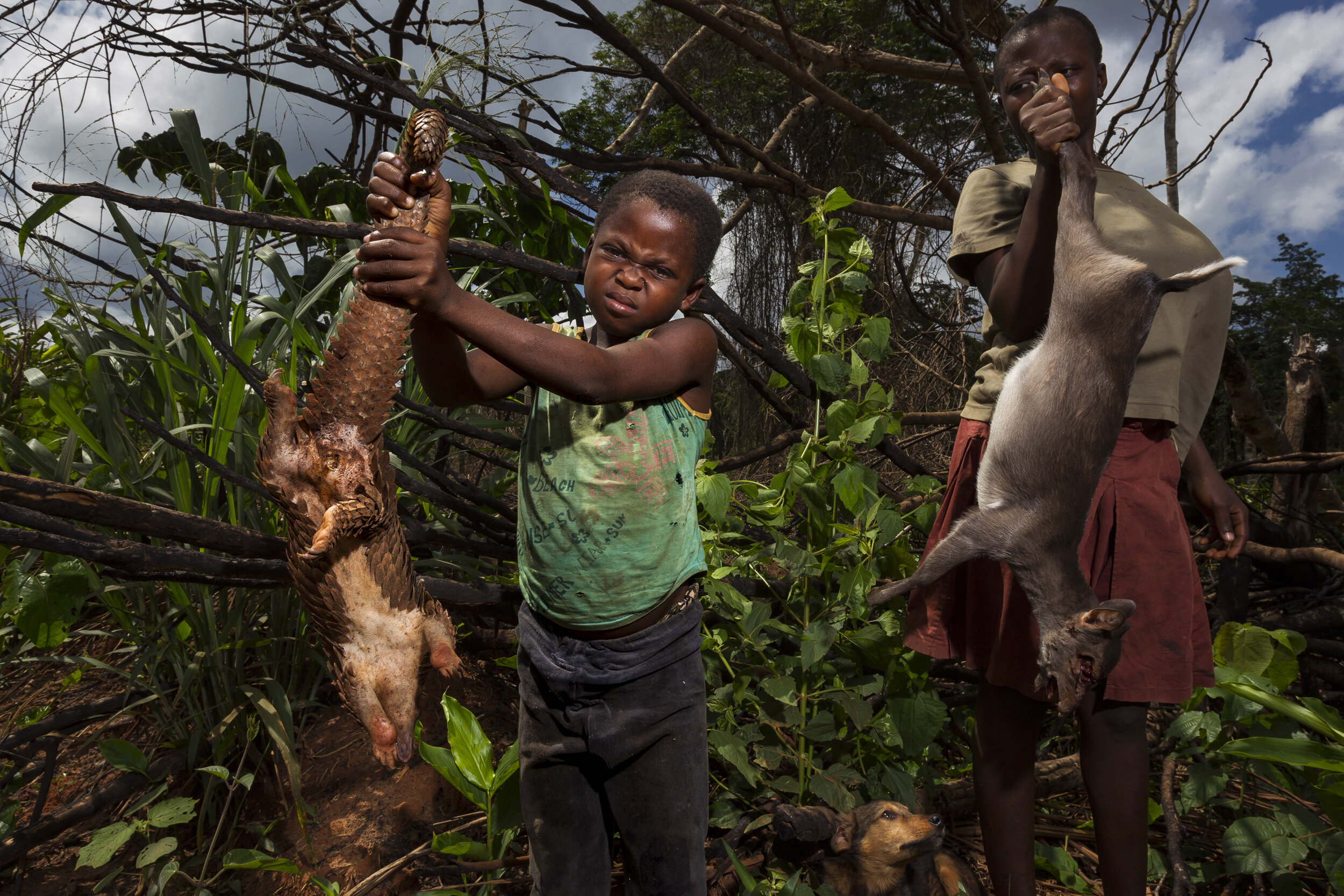 Cameroon, June 4 2010: A young Baka pygmy boy and a women stand by the roadside selling a pangolin and duiker antelope for bushmeat. Pangolin is a common bushmeat species in Cameroon and is the most traded animal in the illegal wildlife trade space.