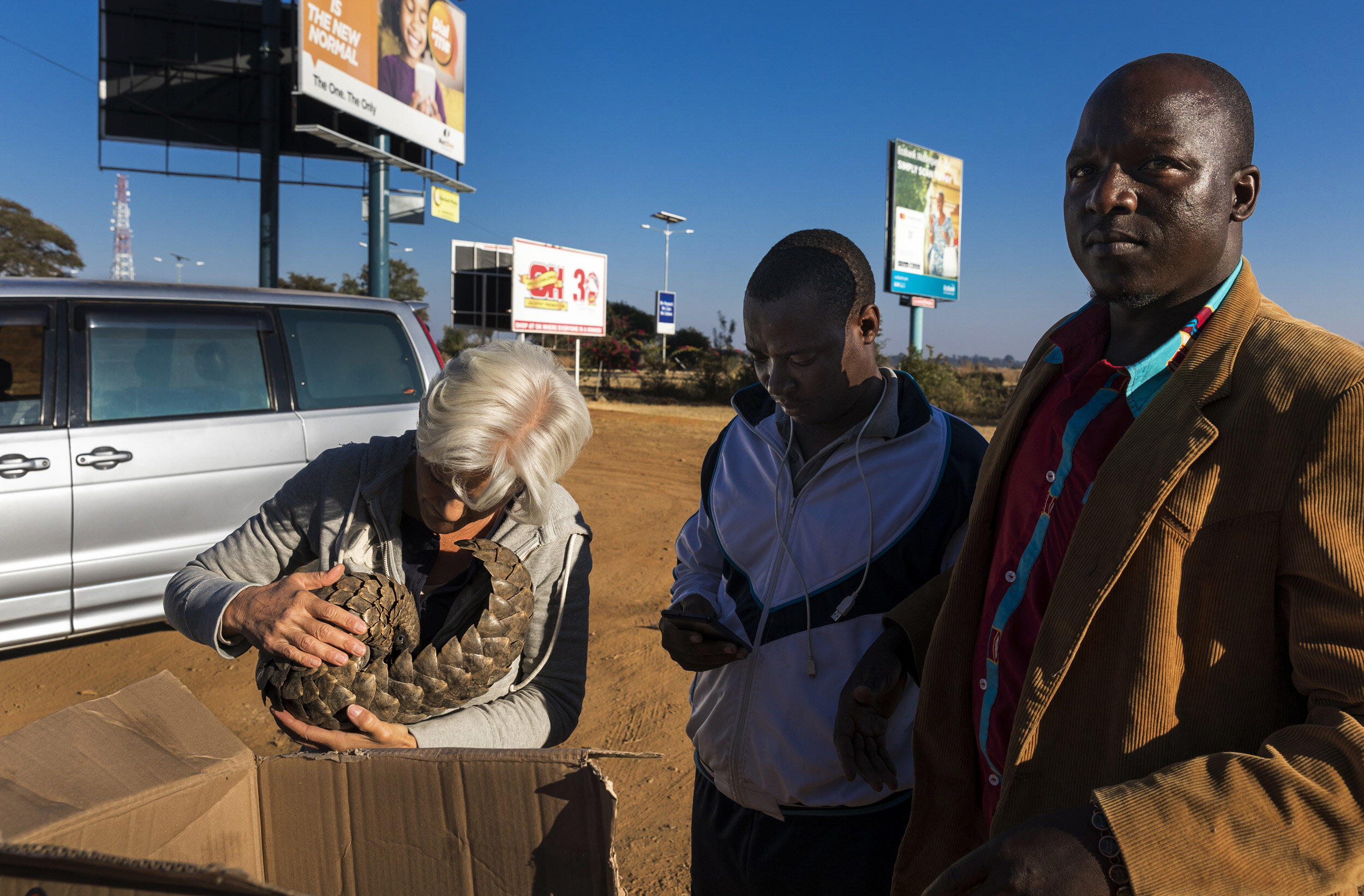 HARARE, ZIMBABWE, 24 JUNE 2018: Lisa Hywood of the Tiki Hywood trust receives a confiscated pangolin from police officers from the Minerals and Border Control division. A Mozambican man was seen sneaking over the border by a Zimbabwean soldier. The