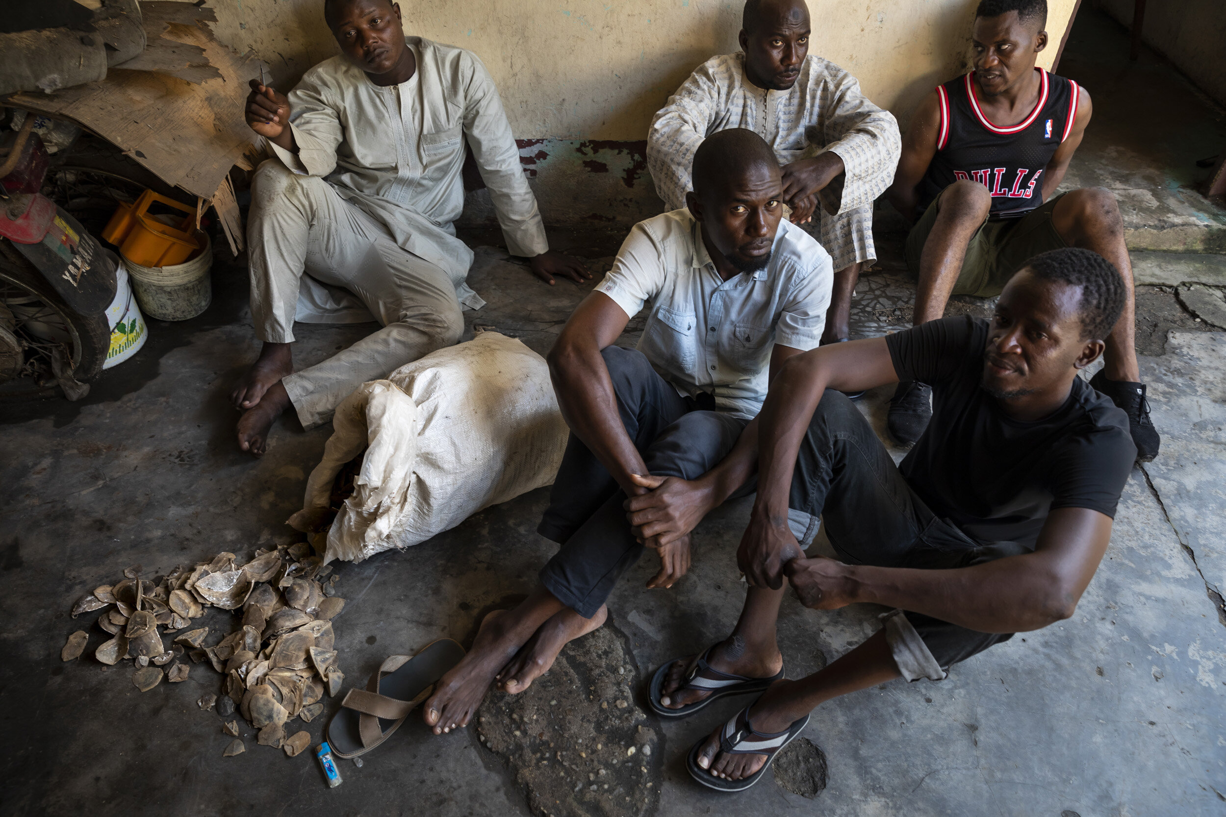 DOUALA, CAMEROON, 18 AUGUST 2018: Members of the Ministry of Wildlife, undercover Police and undercover members of LAGA, a wildlife law enforcement agency capture a group of 5 men who tried to sell one thousand kilograms of giant pangolin scales to