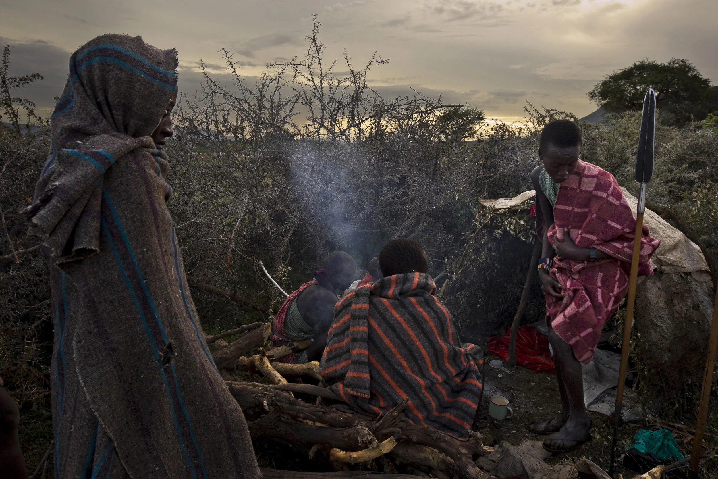Young Masai boys guard cattle from lion and other predators