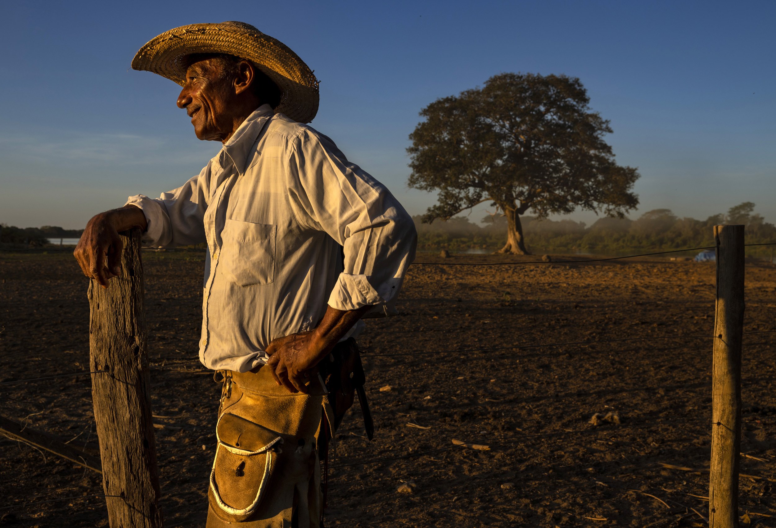 PANTANAL, BRAZIL, 23 MAY 2022: Seul Celso Rondon de Arruda is 67 years old, born and raised in Pantanal. As a cattle rancher, Seul Celso owns 800 cows and 14 horses. The first six months of 2022, he lost 40 calfs because of jaguar attack: each calf