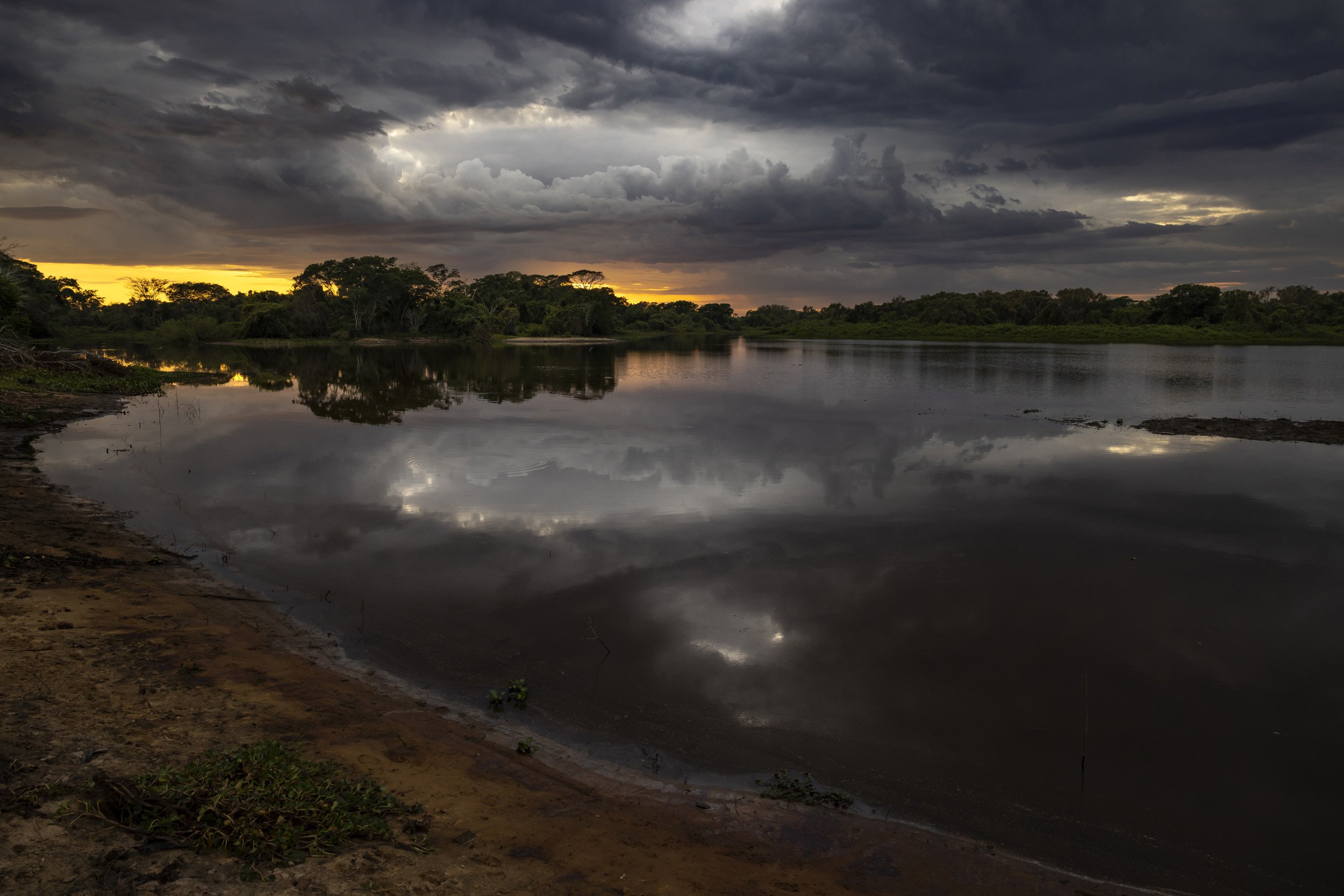 JOFFRE, PANTANAL, BRAZIL: The Pantanal has an ecology that is very much dependent on the dray and wet season. In this image, the dry season takes hold in the Pantanal, the water sliding away from the banks in an age-old cycle vital to the ecosystem