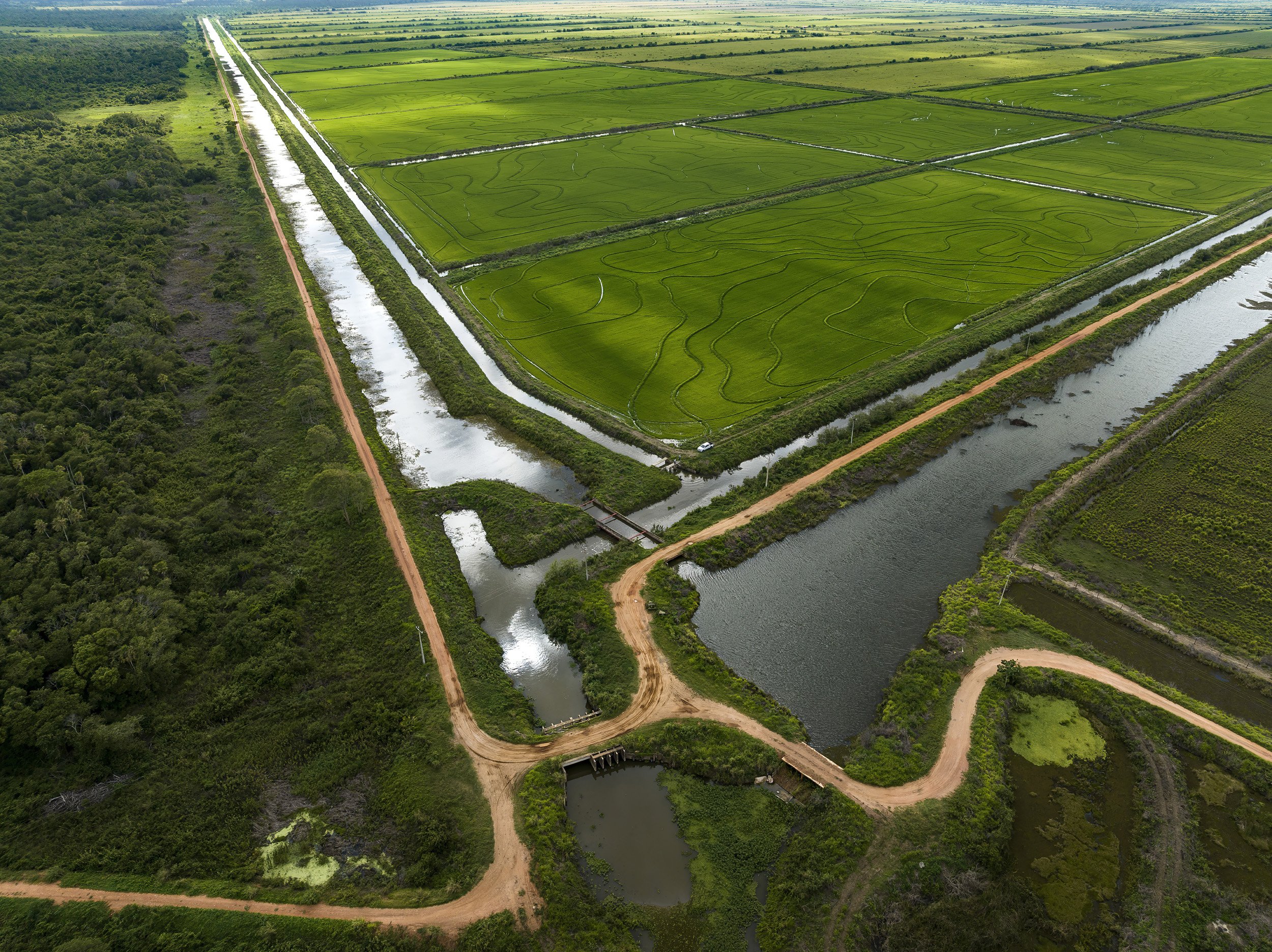 SAN FRANSCISCO FAZENDA, MIRANDA, MATTO GROSSO DU SUL, BRAZIL: Specialized waterways dug out 30 years ago that channel water from the Miranda river to fields for rice-growing and other agriculture. This would be largely illegal today in the Pantanal