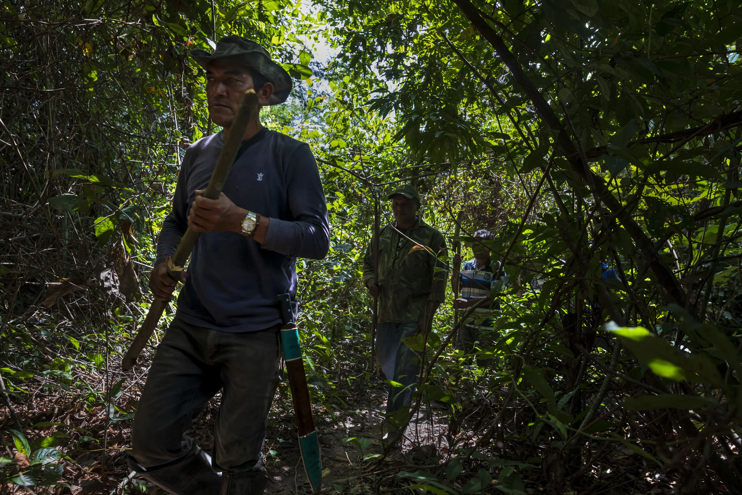 MARANHAO, BRAZIL, JUNE 2018: Members of the Forest Patrol in the village of La Goa Comprida in Arariboia Indigenous territory use bikes and walk the forest in their search for illegal loggers in their territory. In this village illegal loggers attac