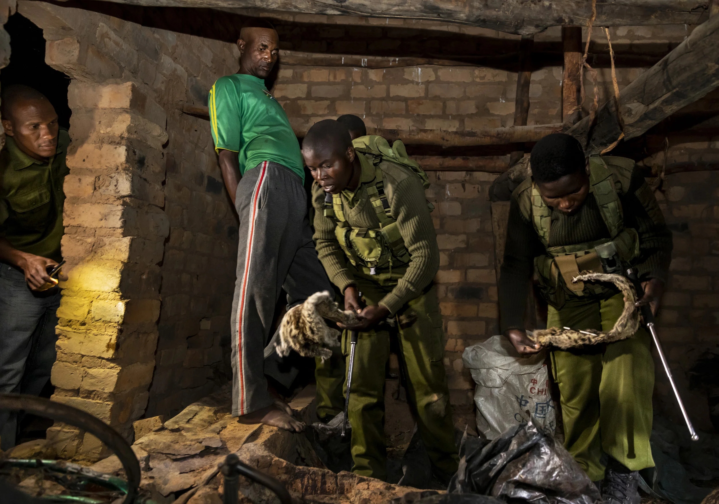 MAKUTI, ZIMBABWE, DECEMBER 2018: Members of the all- female conservation ranger force known as “Akashinga” arrest a notorious wildlife poacher and discover sacks of skins in his basement. Intelligence for the operation was gathered through the Akash