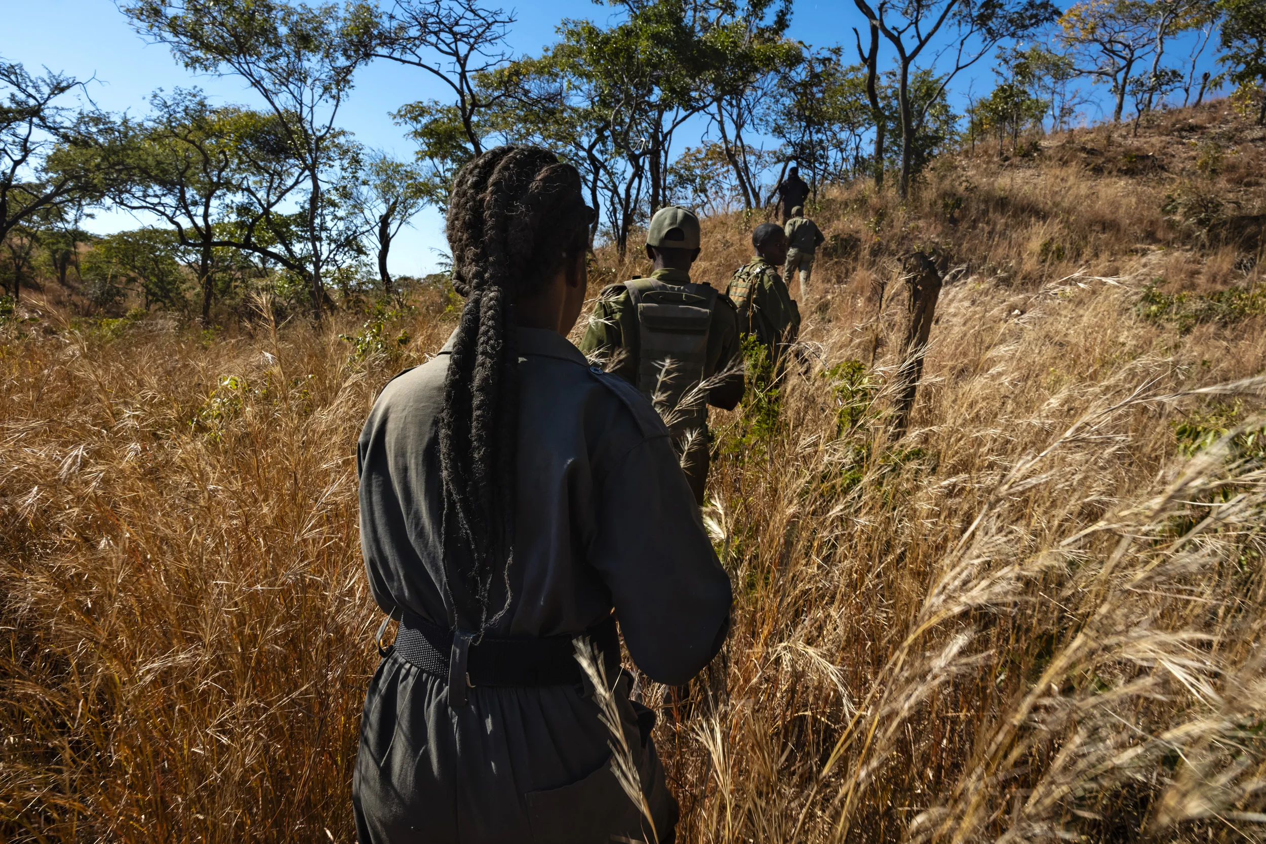 PHUNDUNDU WILDLIFE AREA, ZIMBABWE, JUNE 2018: Akashinga (meaning the ‘Brave Ones’ in local dialect) is a community-driven conservation model, empowering disadvantaged women to restore and manage a network of wilderness areas as an alternative to tro