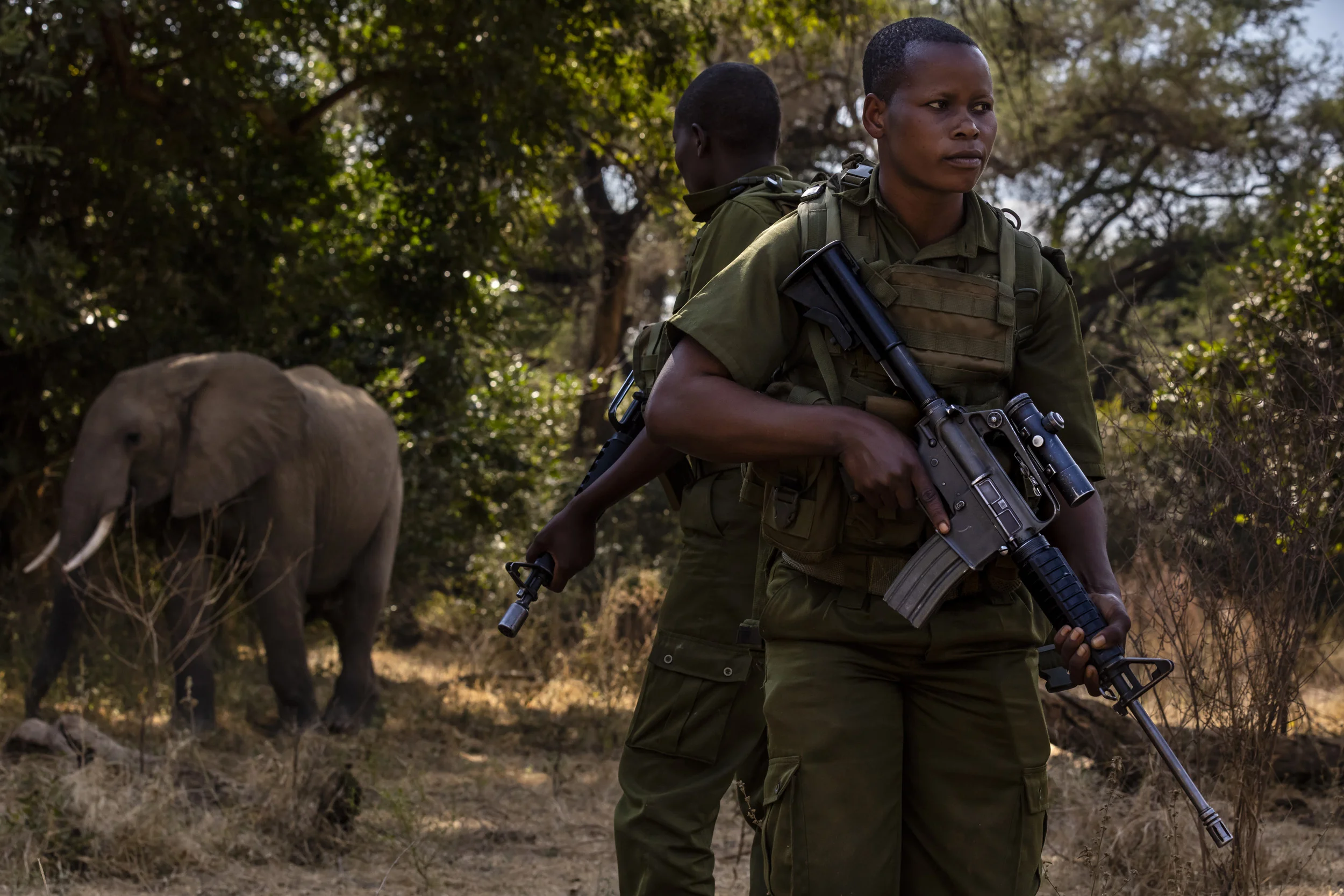 PHUNDUNDU WILDLIFE AREA, ZIMBABWE, JUNE 2018: Akashinga (meaning the ‘Brave Ones’ in local dialect) is a community-driven conservation model, empowering disadvantaged women to restore and manage a network of wilderness areas as an alternative to tro