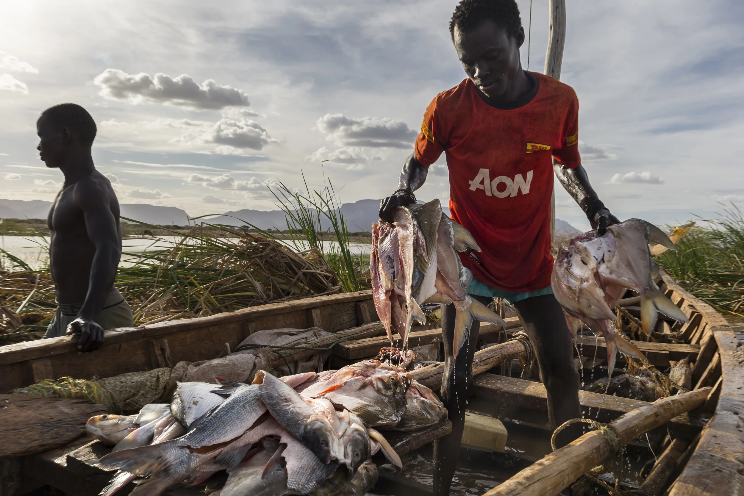 LOWARENGAK, TURKANA, KENYA, 10 OCTOBER 2014: Images from an internally displaced Turkana community who have been moved off their land by Dassanech tribesman who raided their cattle and killed their people, Turkana, Kenya. These Turkana now practise