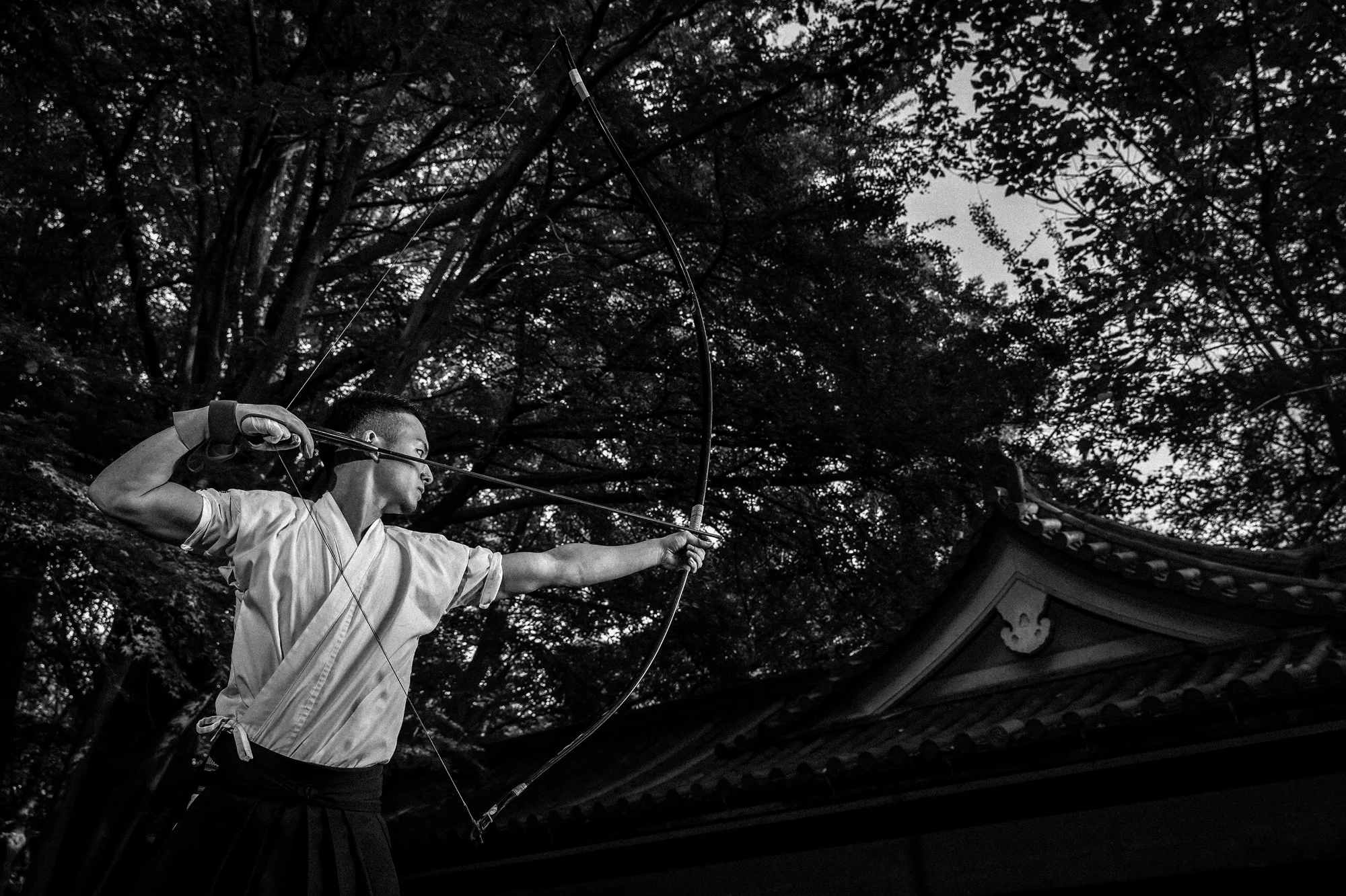 TOKYO UNIVERSITY, TOKYO, JAPAN, 25 OCTOBER 2014: Tokyo University Kyudo club in action at the University dojo, Tokyo, Japan. Kyudo is much more a moving meditation than a sport of archery, with an emphasis on breath, perfection of movement than an a