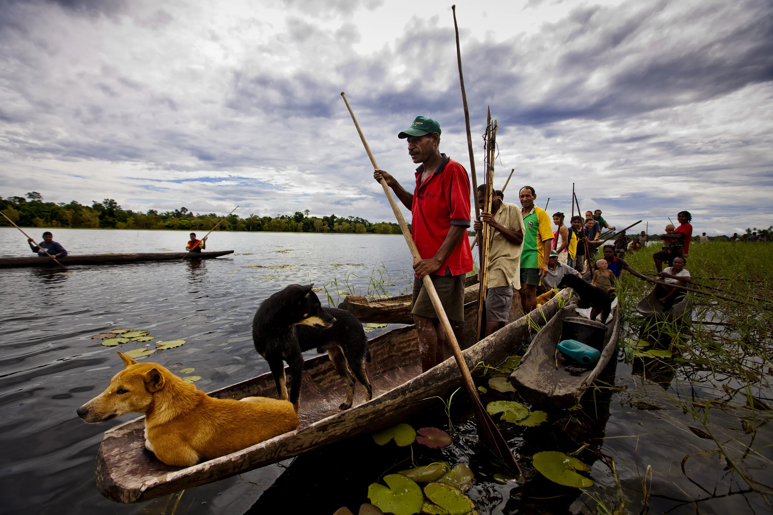 LAKE MURRY, PAPUA NEW GUINEA, JANUARY 2009: A hunting party gathers to catch wild pig and Kassowary in remote areas along the shores of Lake Murray, Papua New Guinea, 1 January 2009. These communities live lives very closely connected to the natural