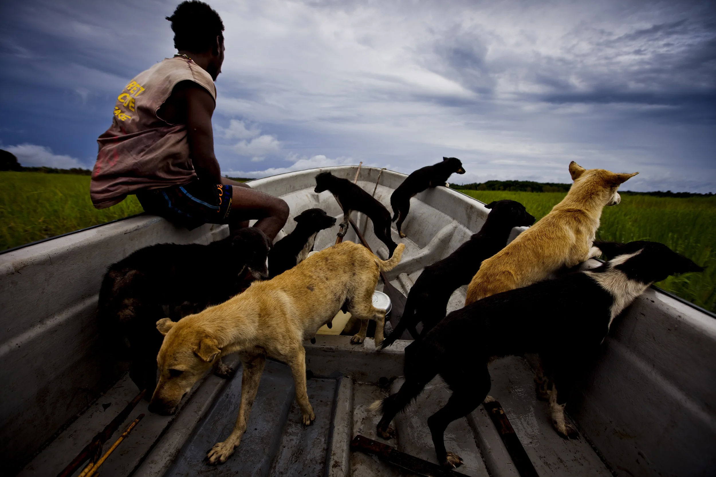 LAKE MURRY, PAPUA NEW GUINEA, JANUARY 2009: A hunting party catches wild pig and Kassowary in remote areas along the shores of Lake Murray, Papua New Guinea, 1 January 2009. These communities live lives very closely connected to the natural world. T