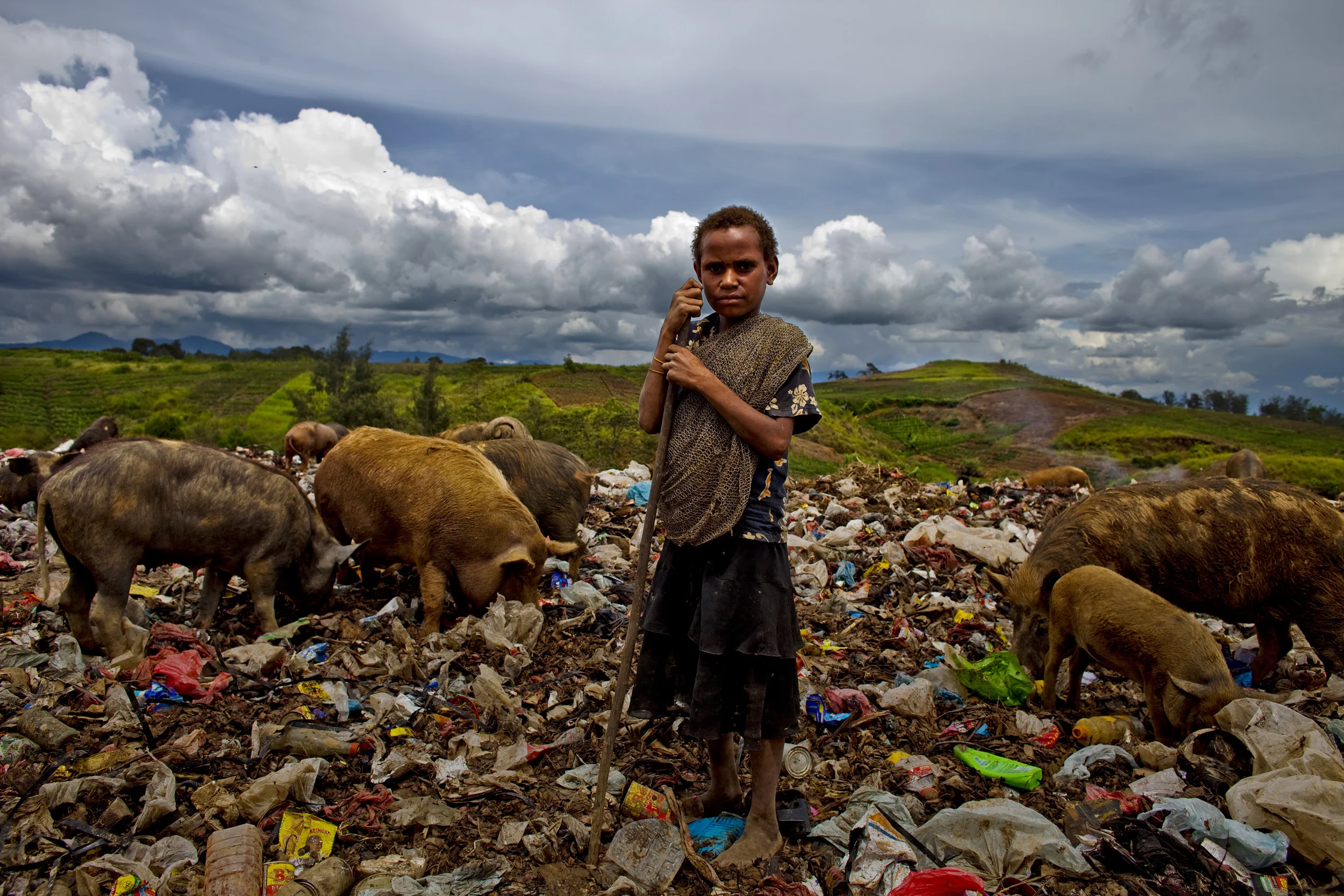 MOUNT HAGEN, HIGHLANDS, PAPUA NEW GUINEA-DECEMBER 2008: Scenes from the Dump in Mount Hagen which is populated by people who drifted to the town in the 1970's and used the dump to farm pigs, a viable wealth stream in Papua New Guinea.,Mount Hagen, P