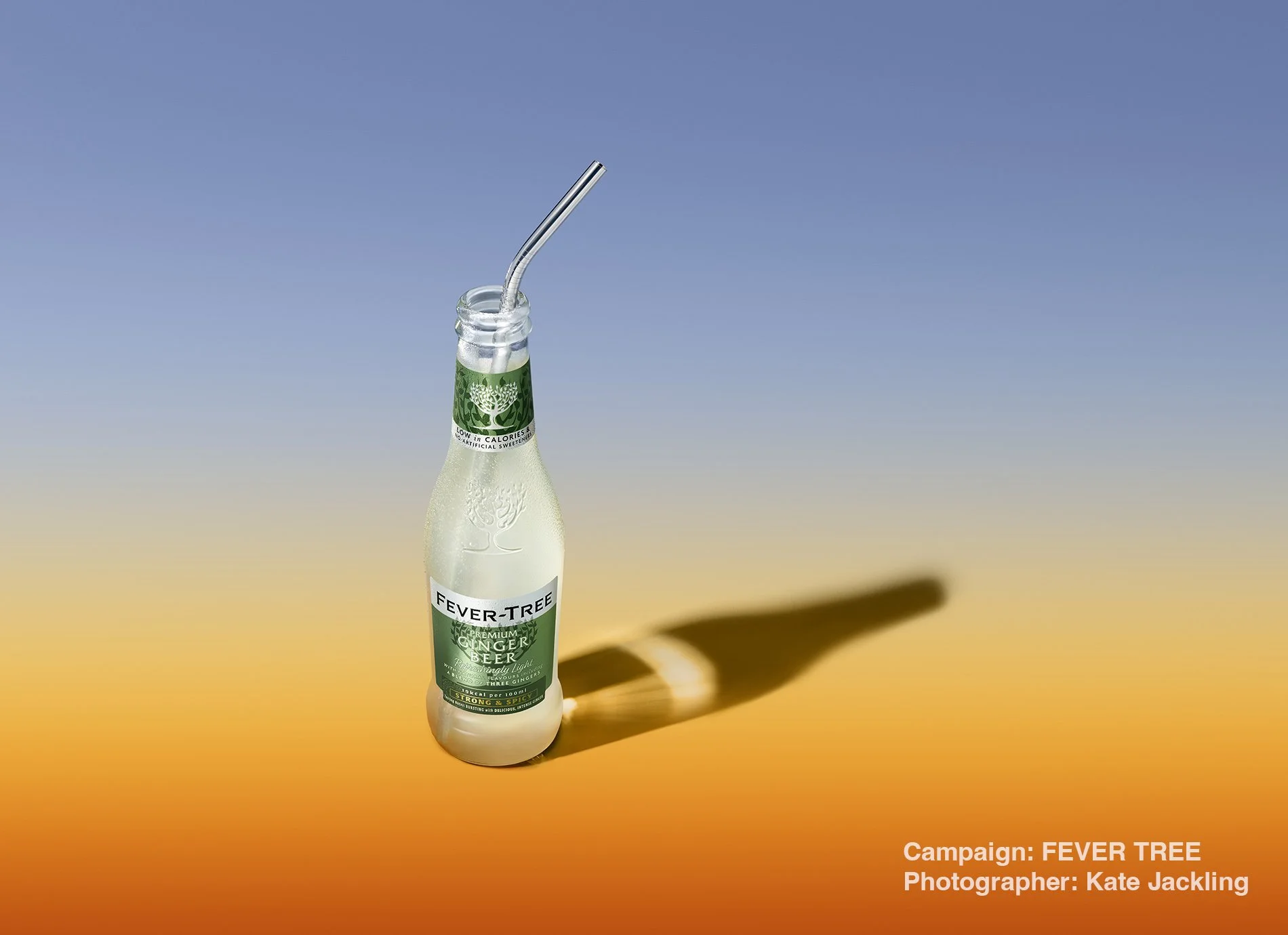 260128_FEVER_TREE_DOWNWARD_GINGER_BEER-f2-With CAUSTIC.jpg