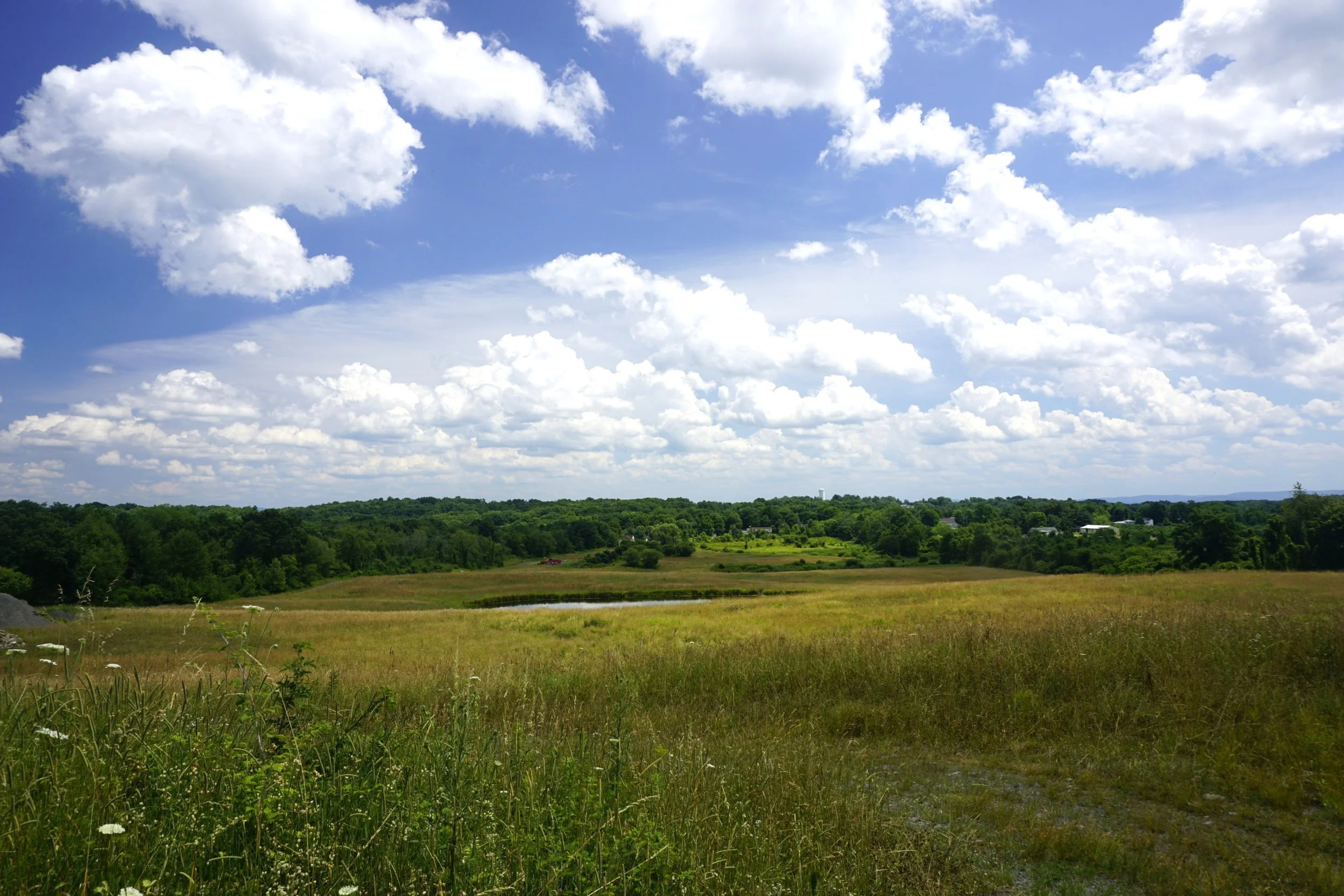 _DSC9764.JPG
