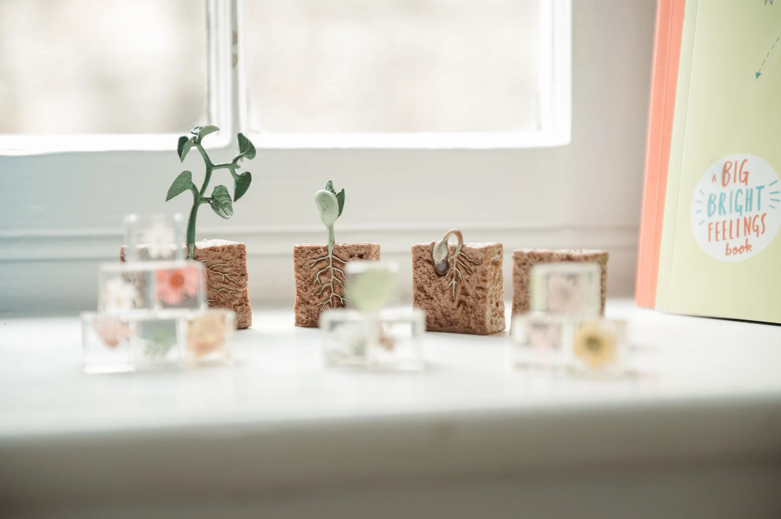 Plants with roots in foam blocks and small clear containers with plant cuttings on a white surface by a window, with a book titled 'A Big Bright Feelings Book' on the right.