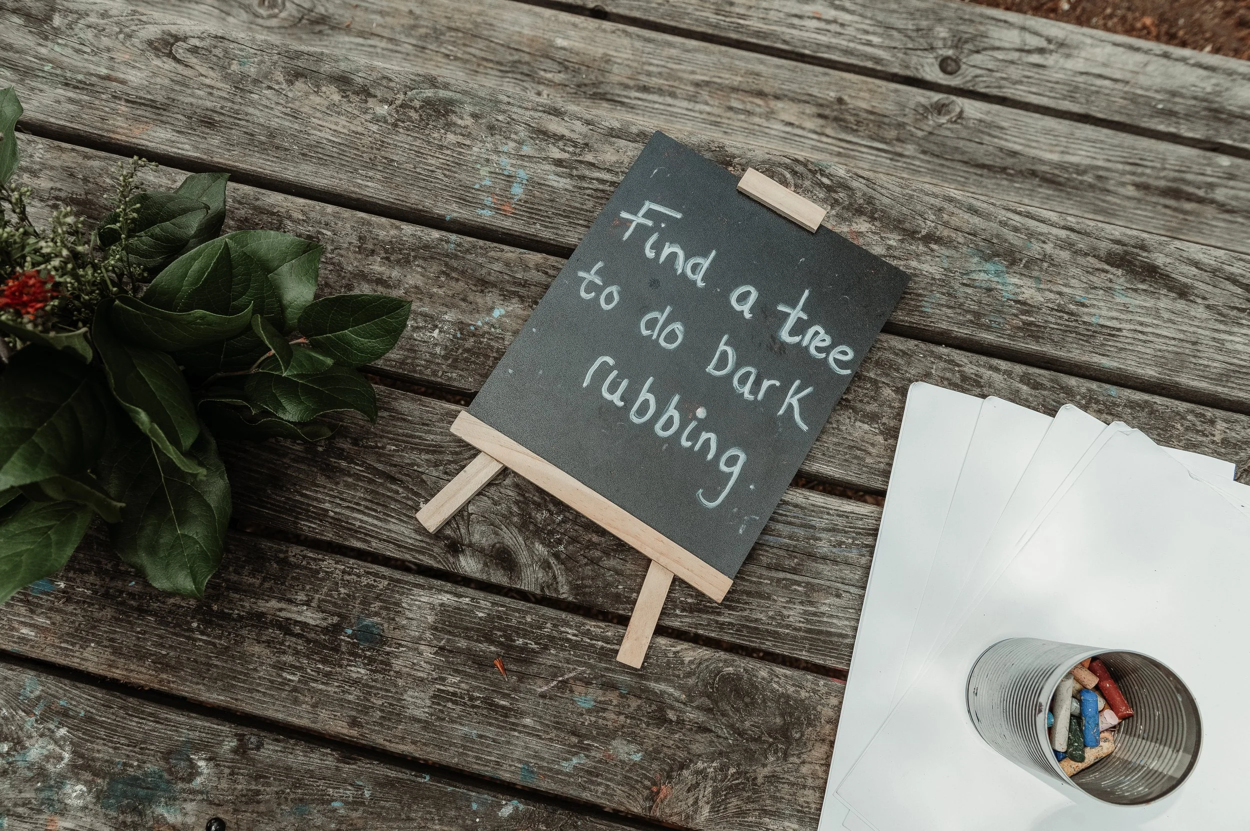 A small chalkboard sign on a wooden table reads, 'Find a tree to do dark rubbing.' To the left, there is a leafy green plant, and on the right, there are paper sheets with a metal cup filled with colorful chalks placed on top.