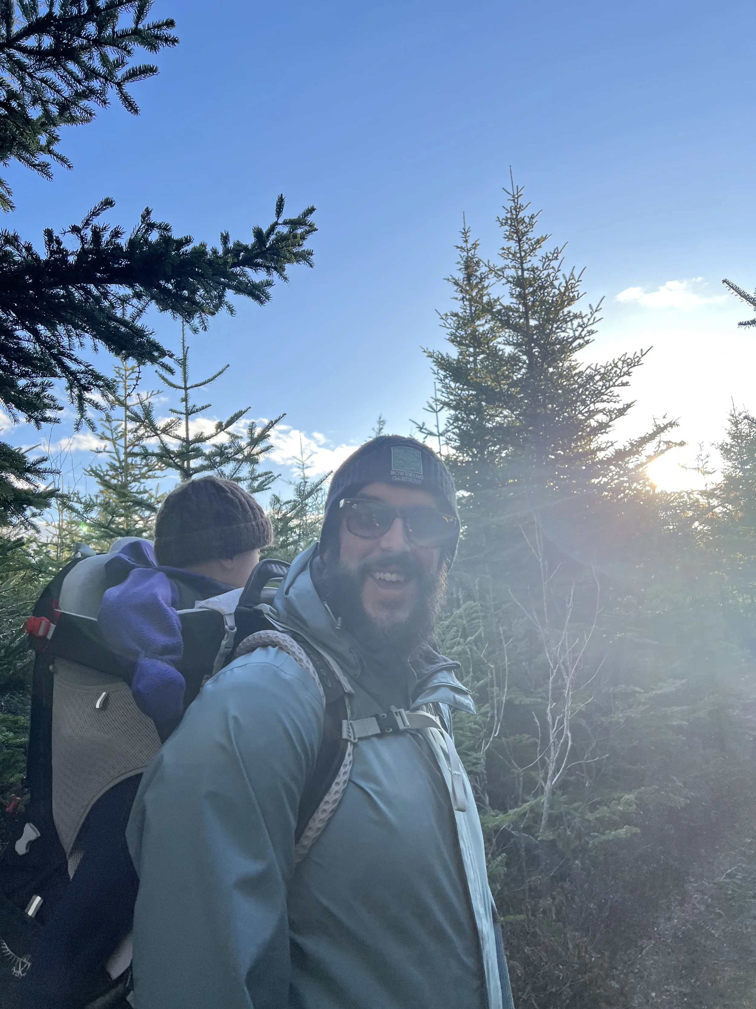 People hiking outdoors in a forest with evergreen trees and clear blue sky, sunlight shining through the trees.