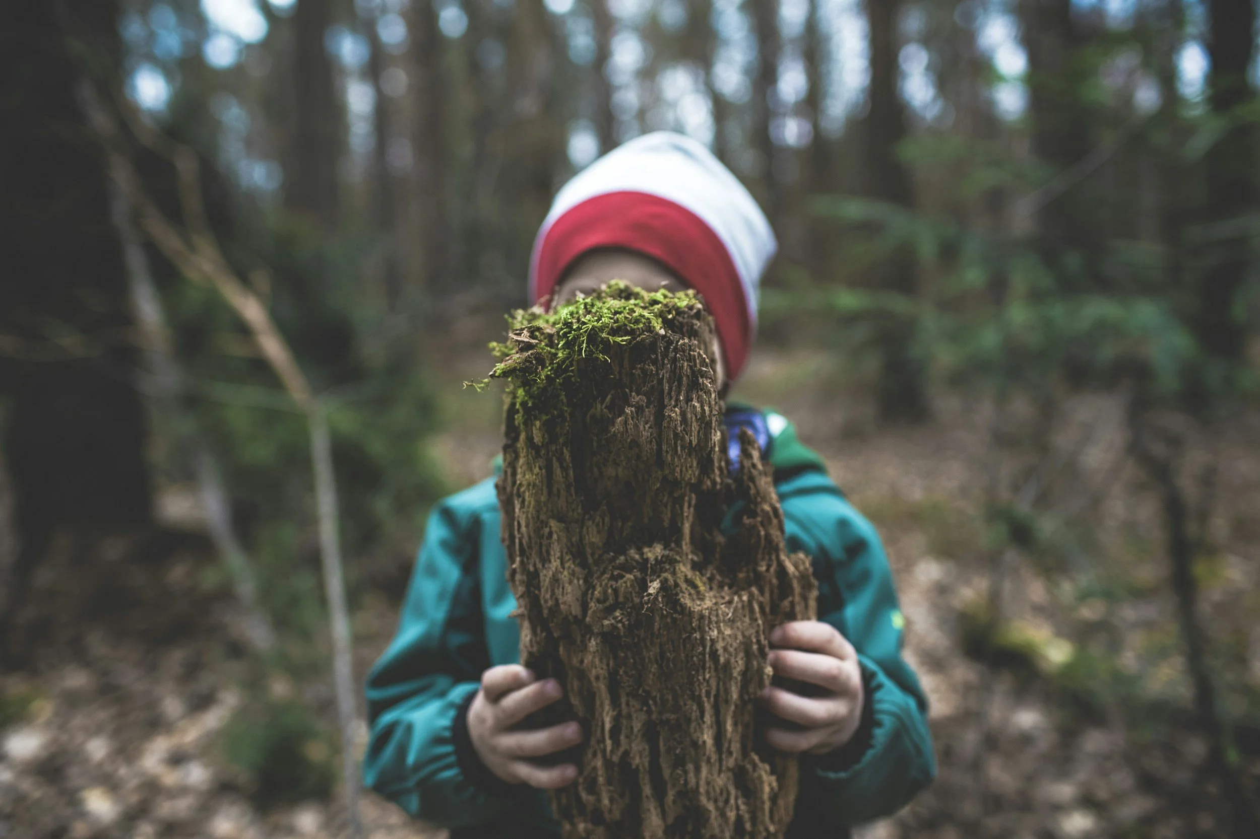 A child in a blue jacket holding a moss-covered branch in a forest, with out-of-focus trees in the background.