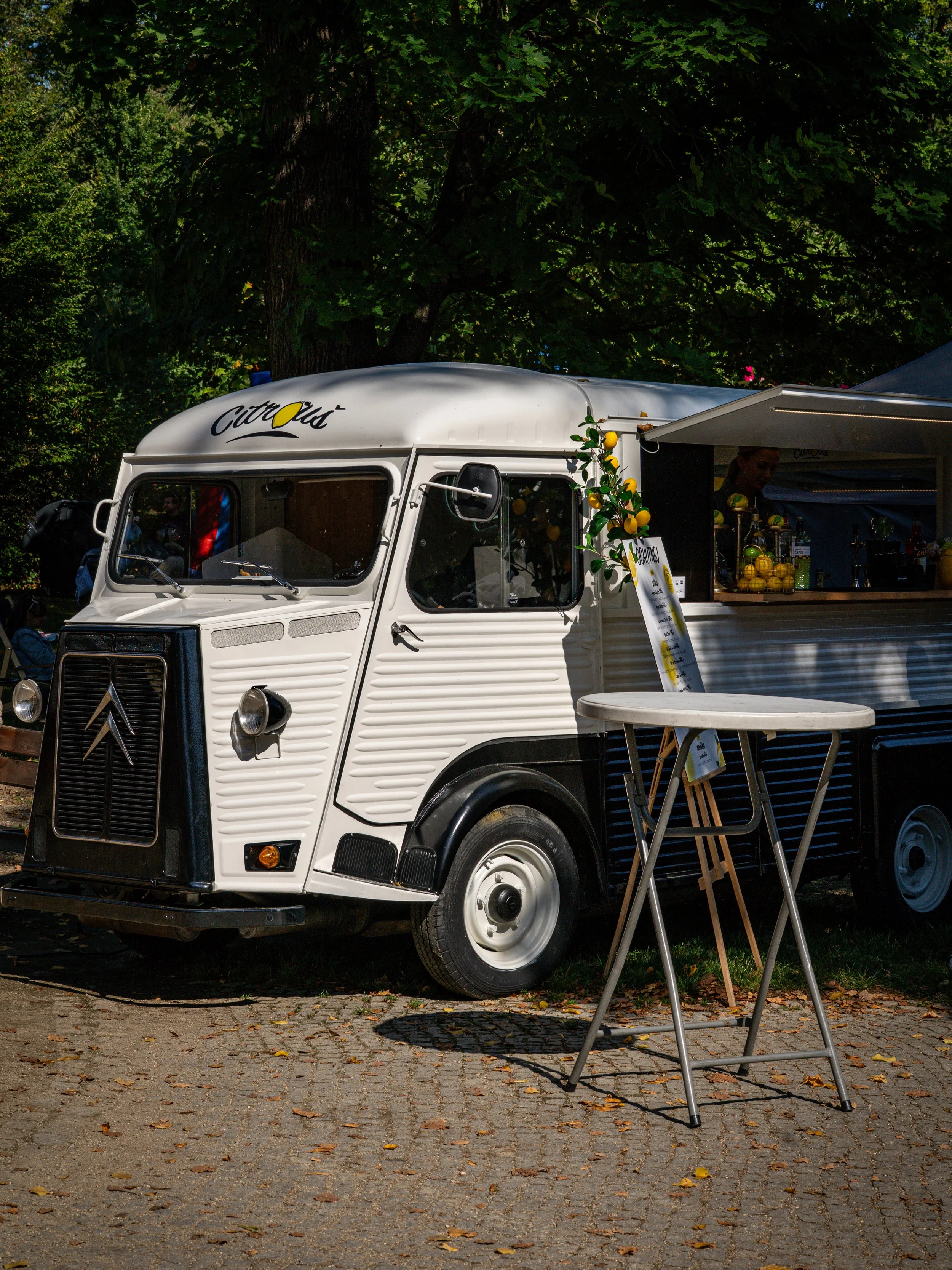 F3DF5FFC-9F12-48DF-9F2C-7EB6635DD82A 2.JPG