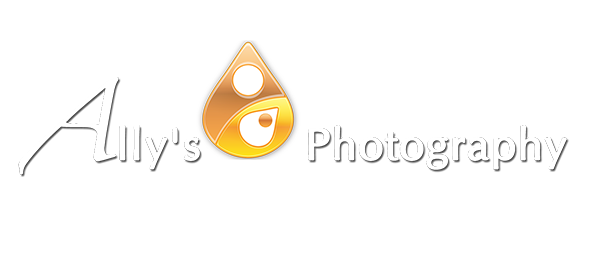 Ally Photography | Maternity &amp; Family Photographer