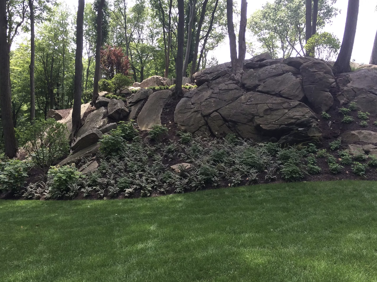 Luppino Landscaping & Masonry 