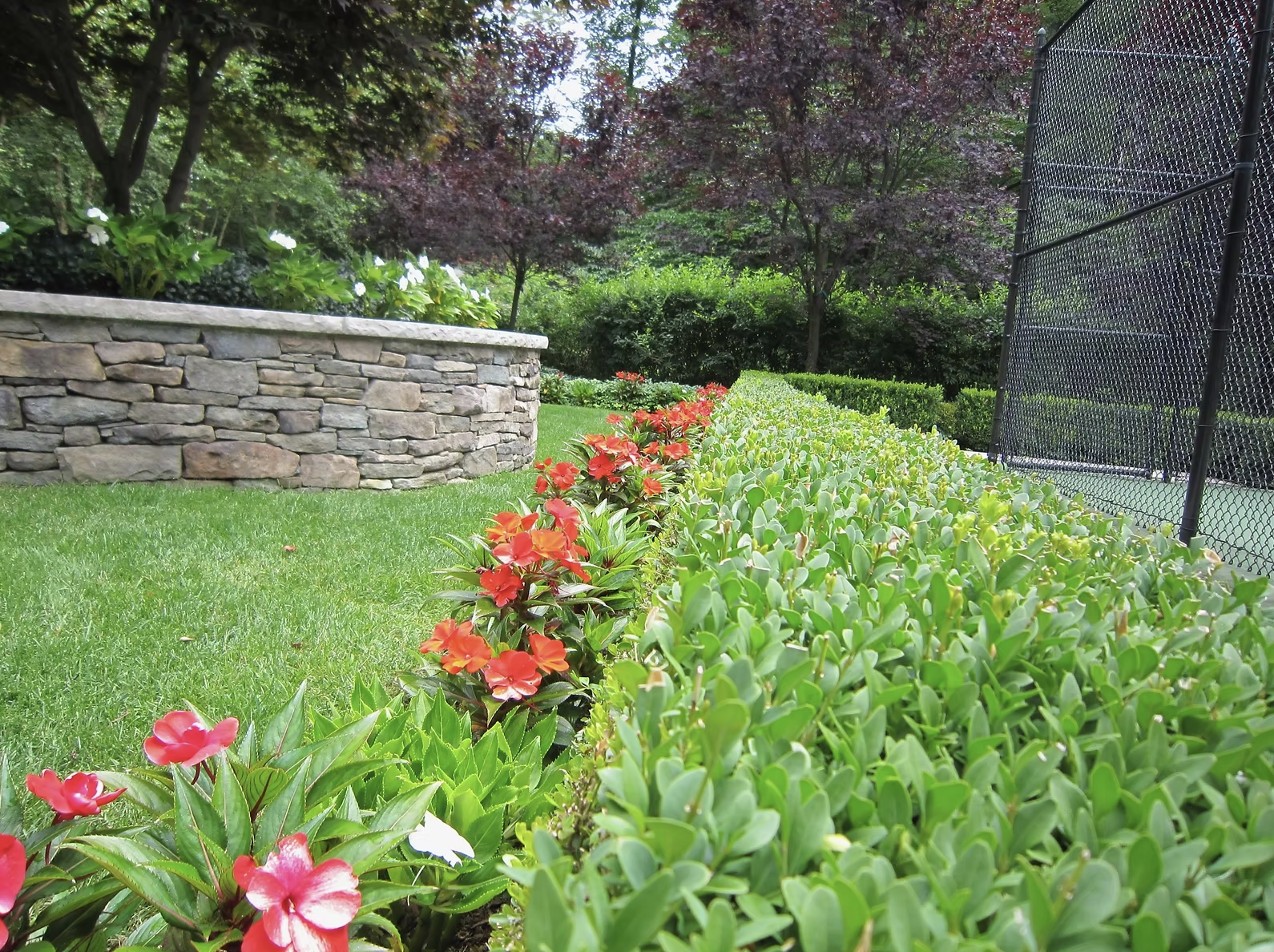 Screenshot 2025-07-15 at 8.31.15 AM.png