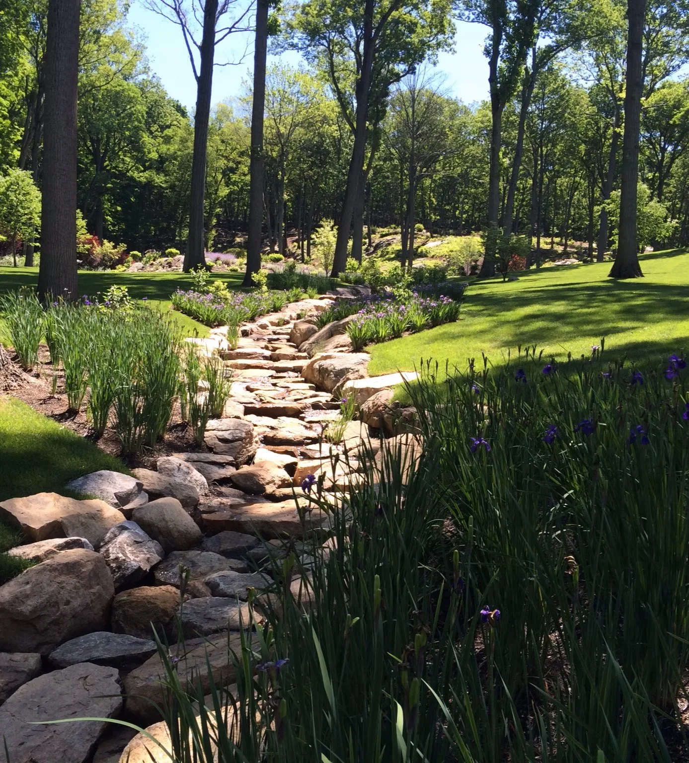 A landscaped garden with a stone pathway, surrounded by purple flowers, green grass, and tall trees.
