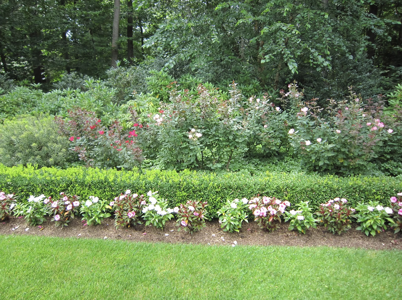 Screenshot 2025-07-15 at 8.32.17 AM.png