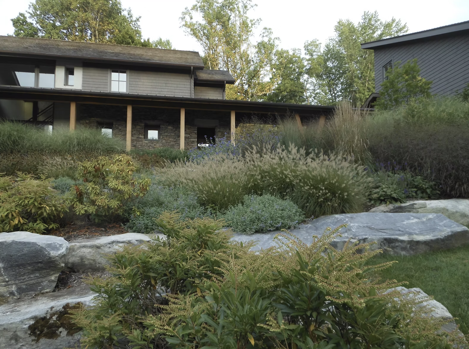 Screenshot 2025-07-15 at 8.07.07 AM.png