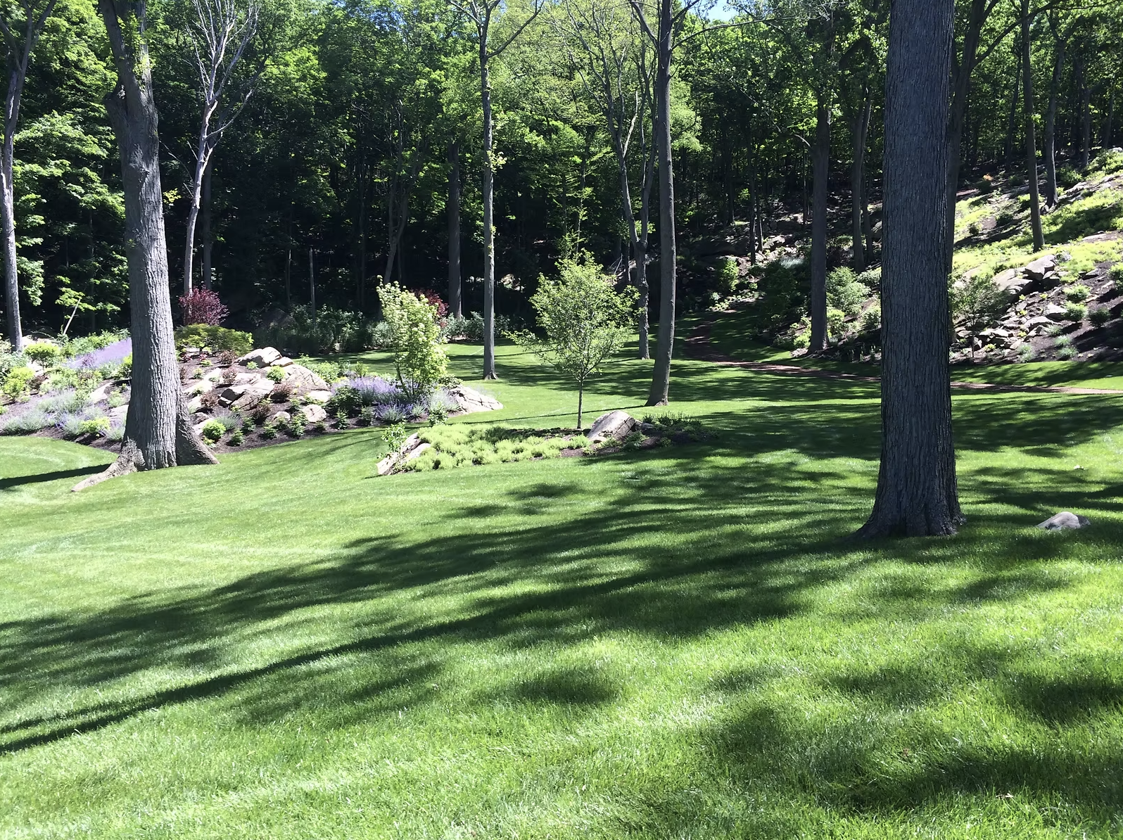 Luppino Landscaping & Masonry 