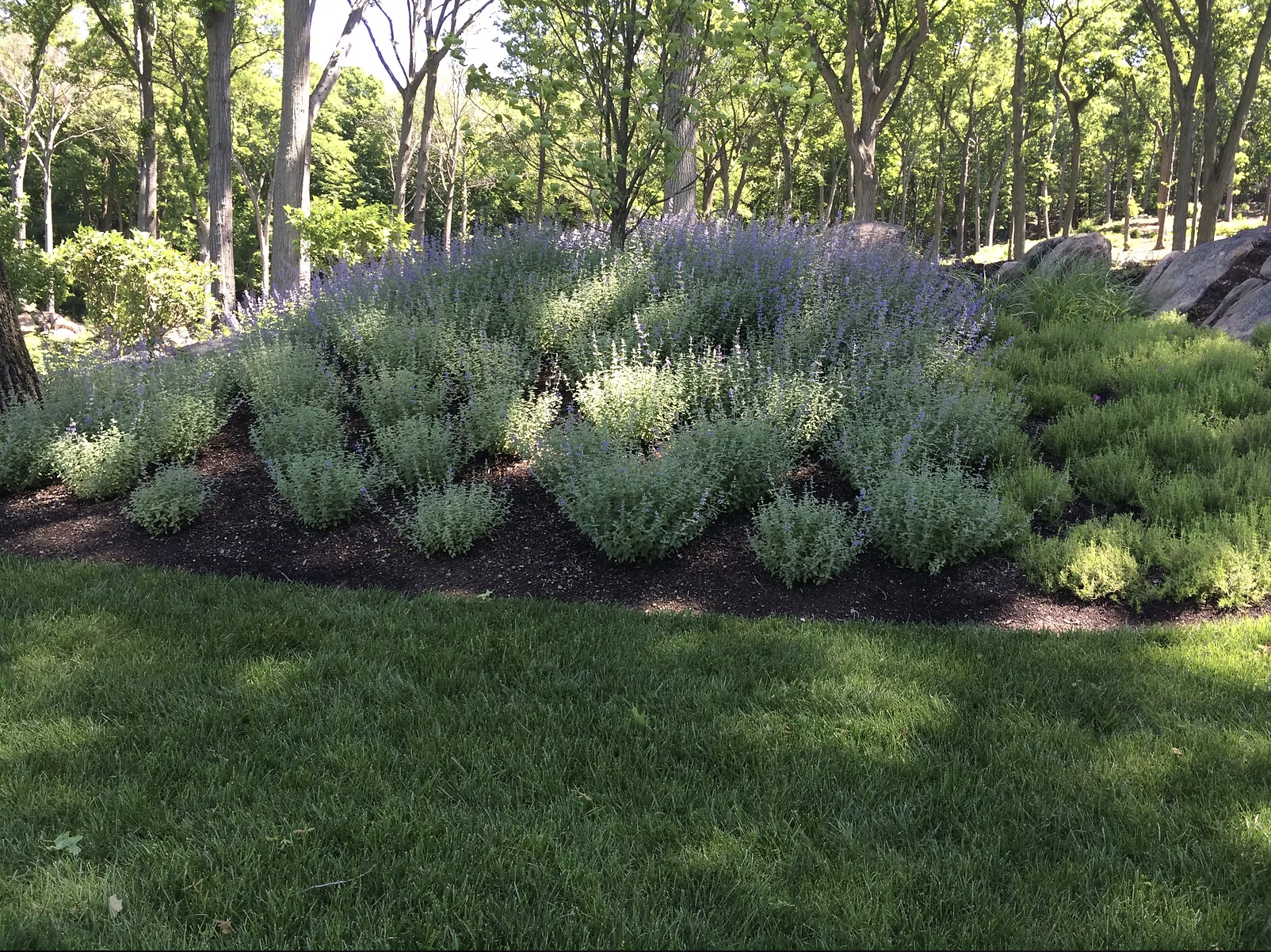 Luppino Landscaping & Masonry 