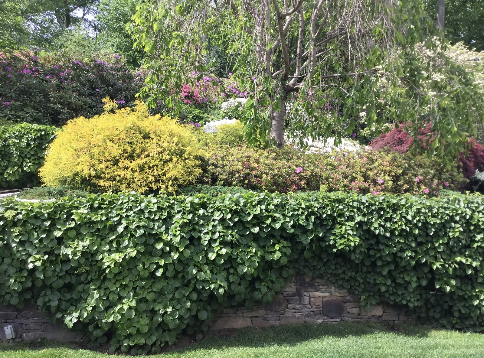 Screenshot 2025-07-15 at 8.31.05 AM.png