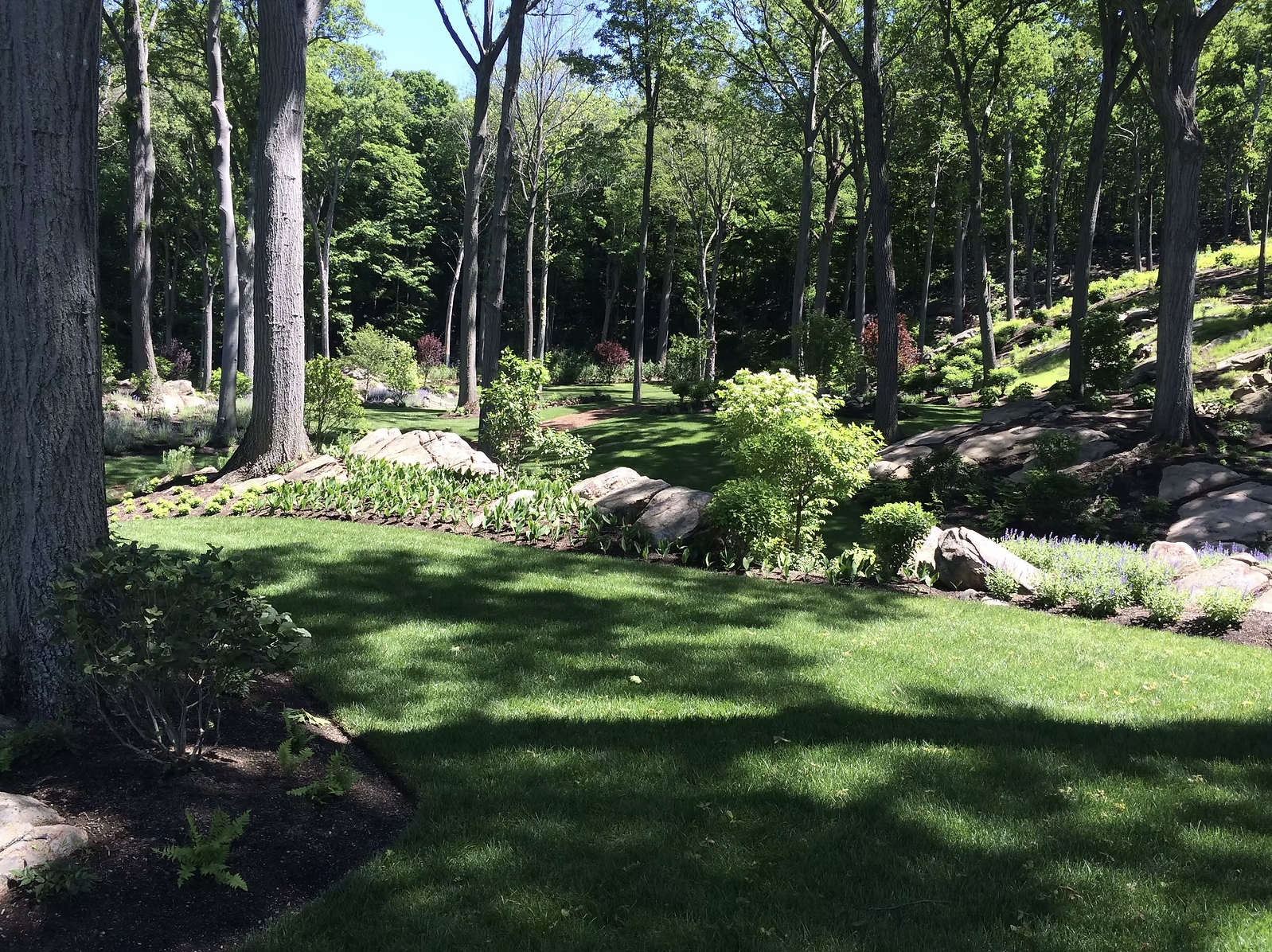 Luppino Landscaping & Masonry 