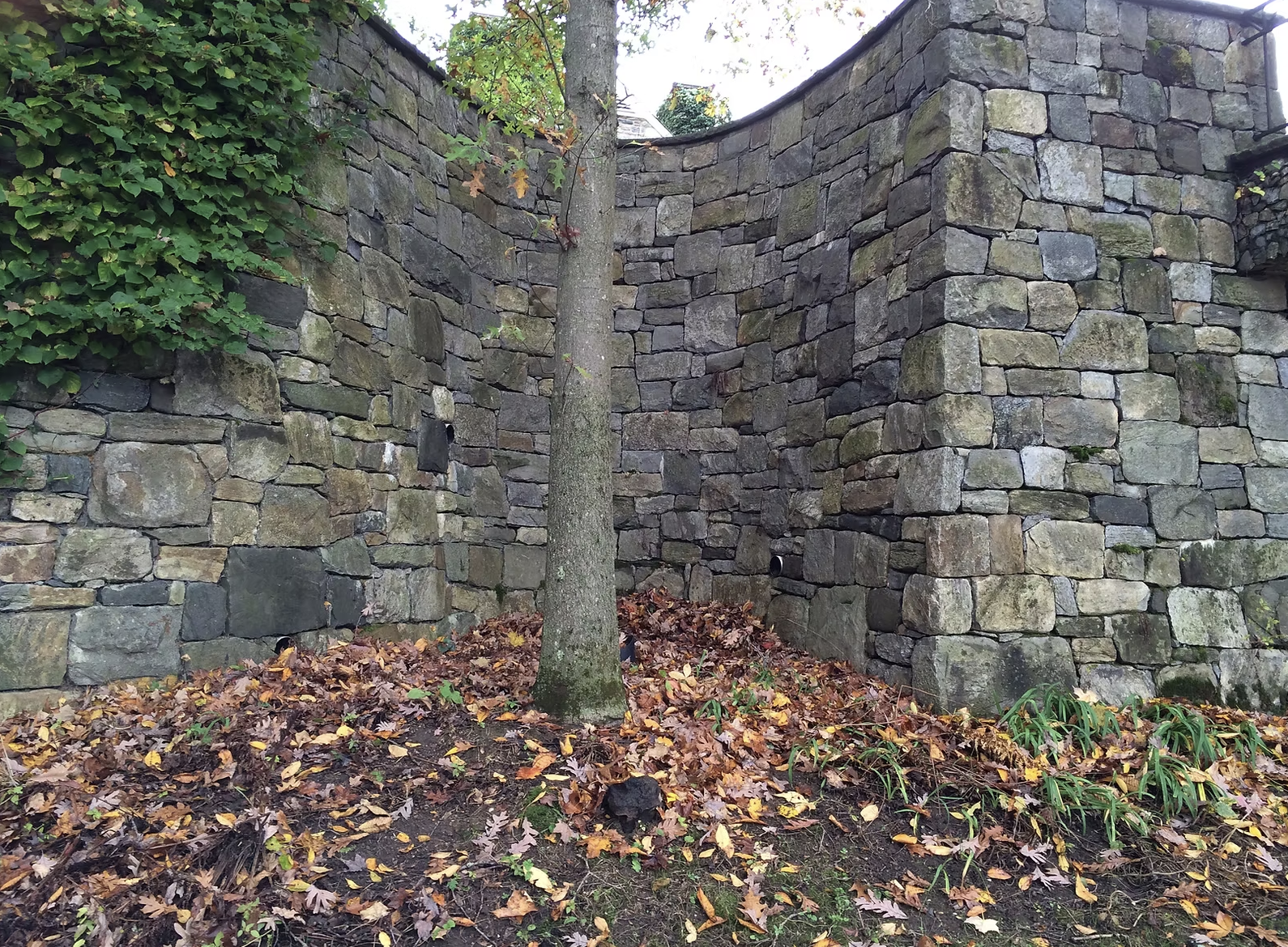 Luppino Landscaping & Masonry 